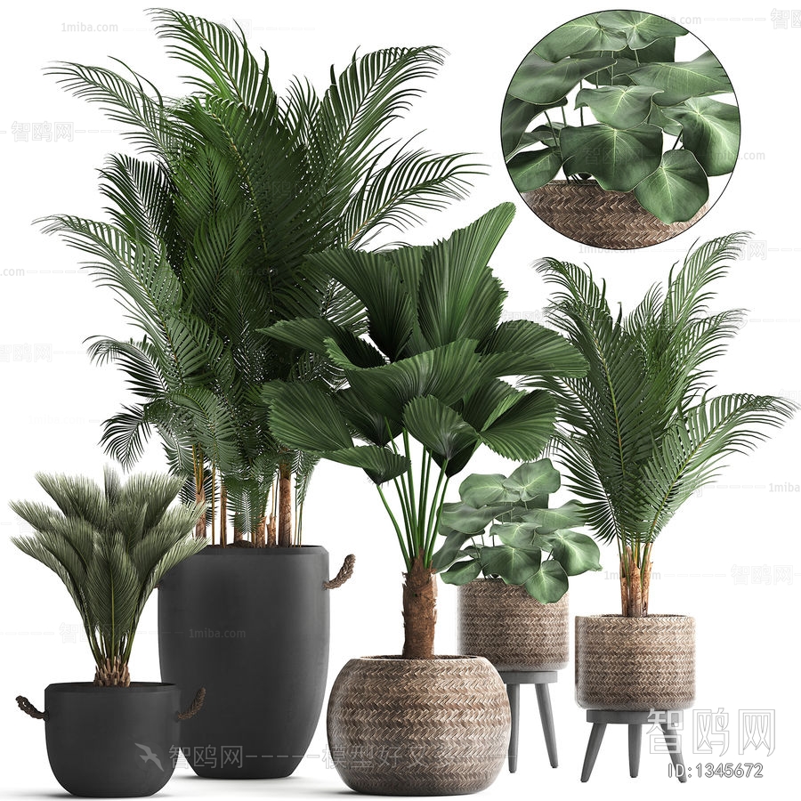 Modern Potted Green Plant