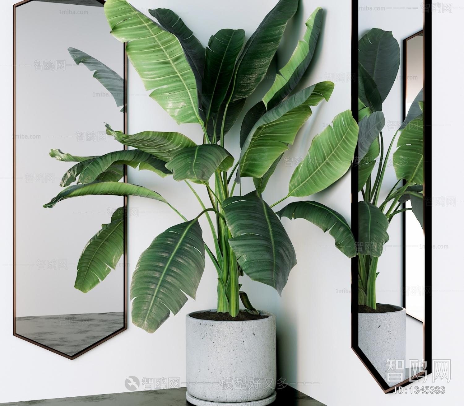 Modern Potted Green Plant