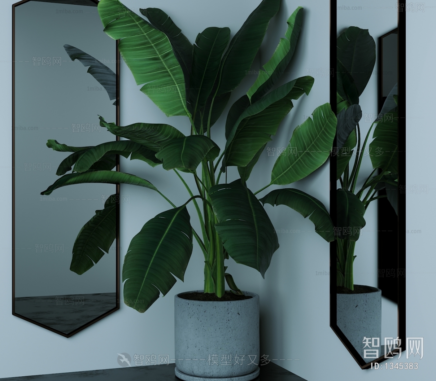 Modern Potted Green Plant