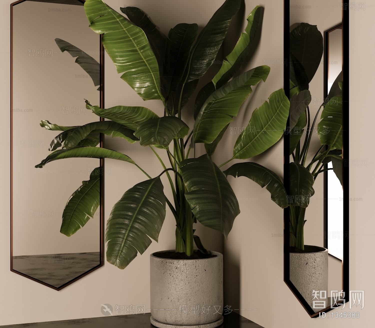 Modern Potted Green Plant