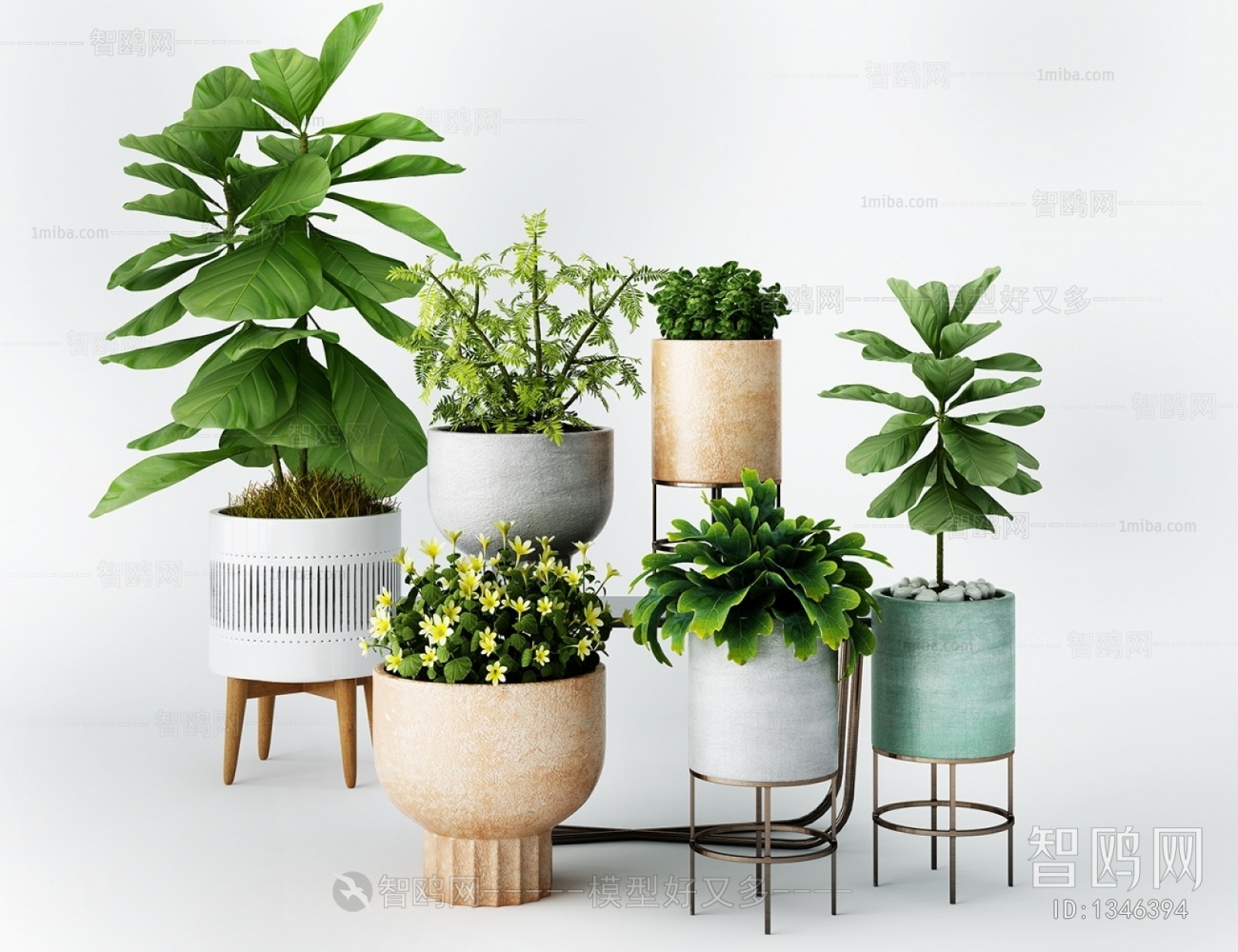 Modern Potted Green Plant