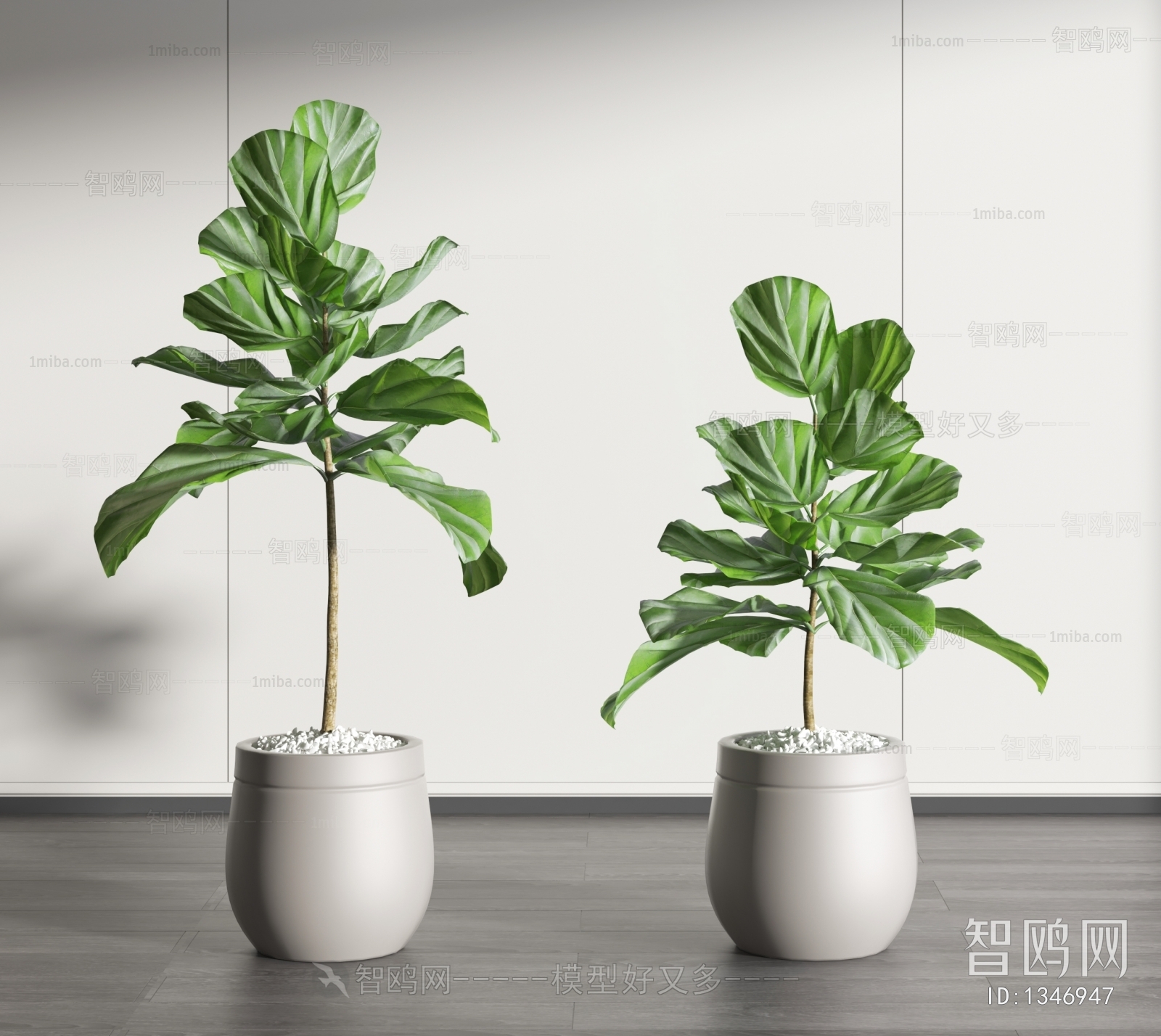 Modern Potted Green Plant