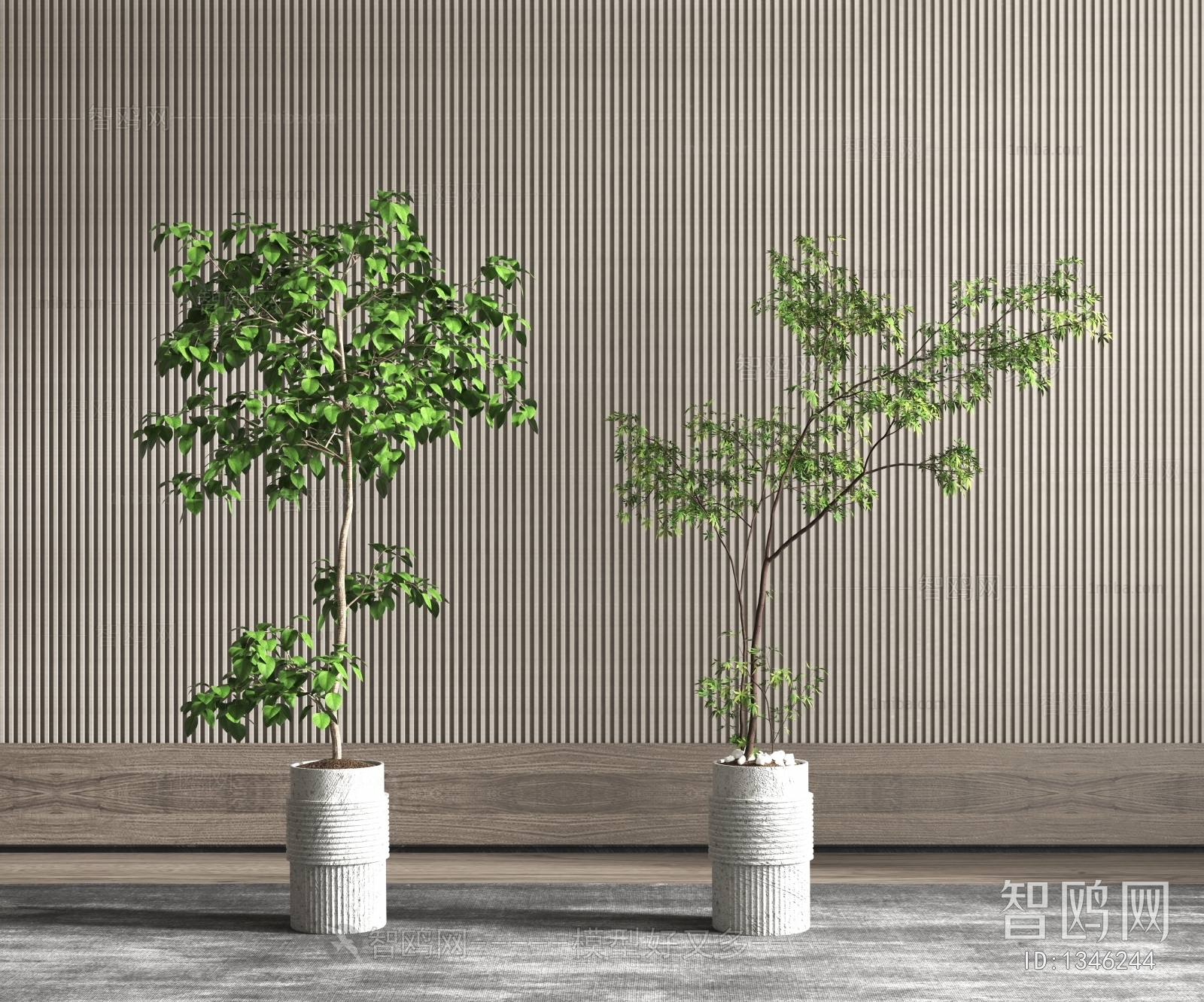 Modern Potted Green Plant