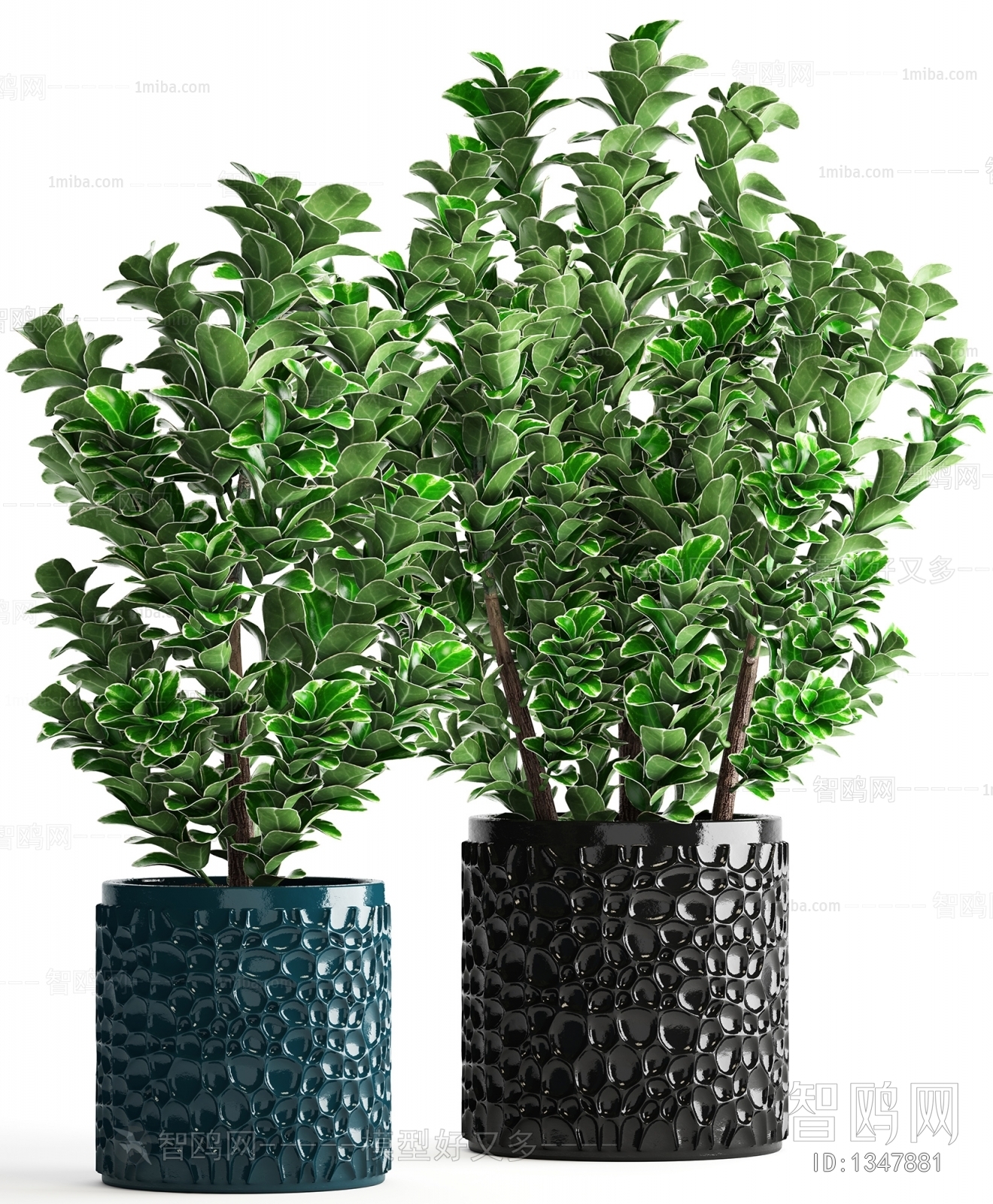 Modern Potted Green Plant