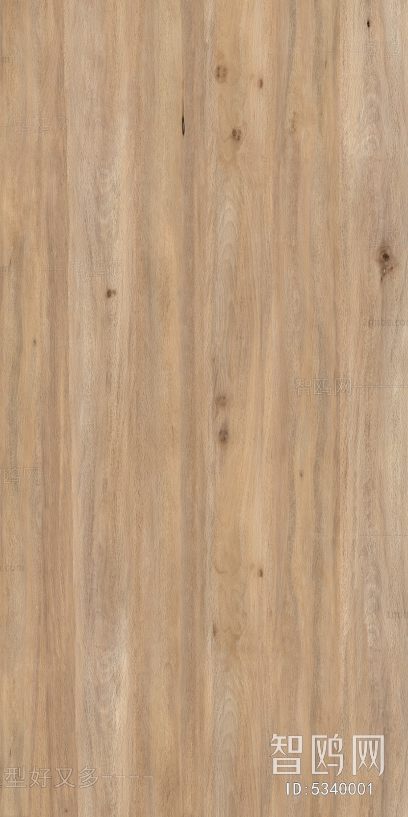 Wood Texture