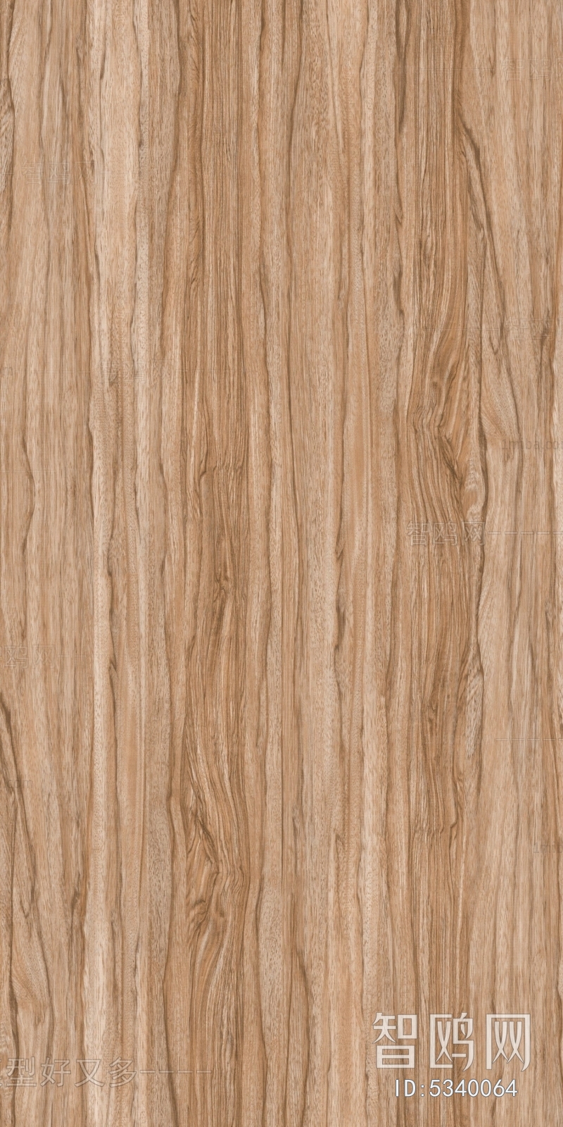 Wood Texture