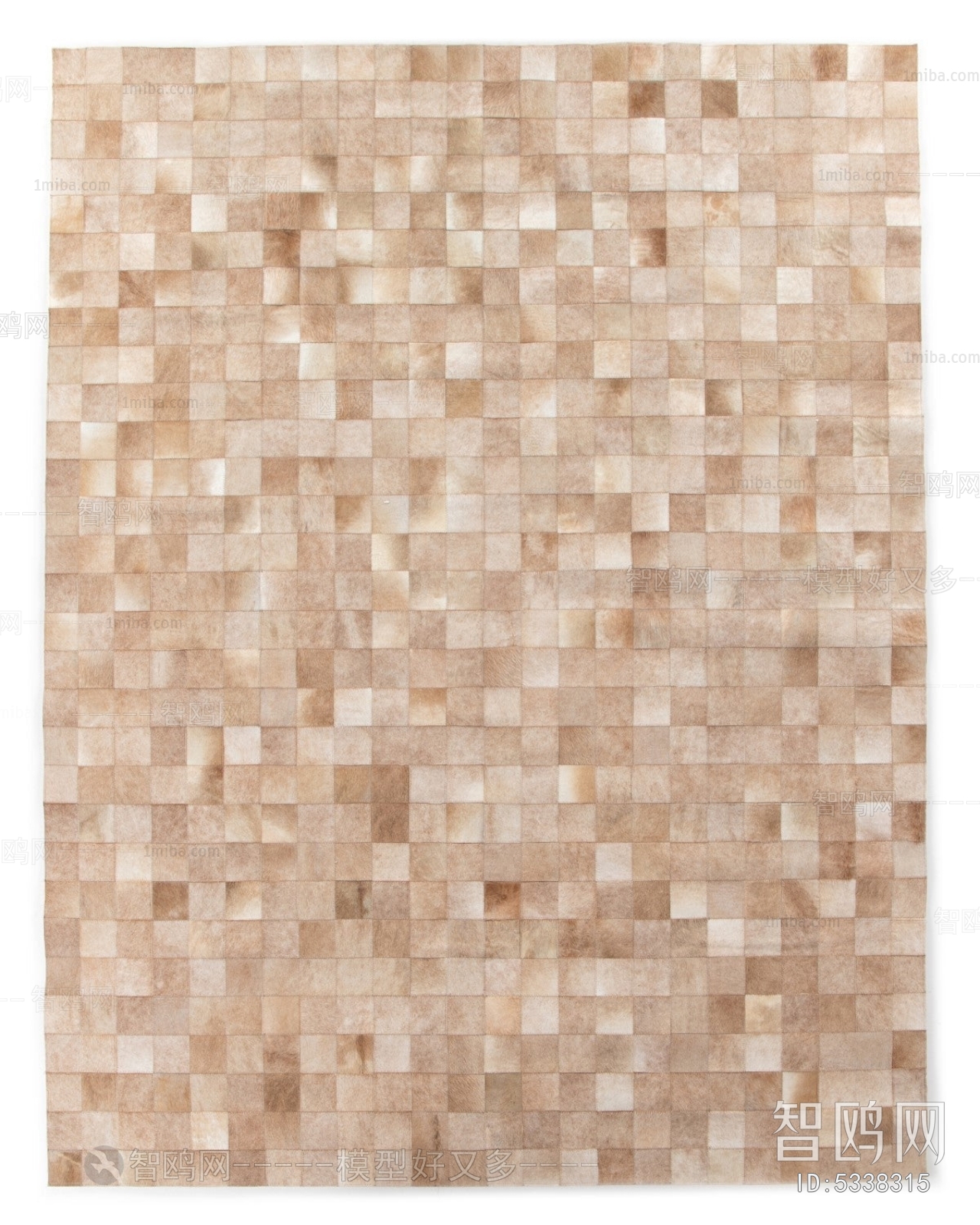 Modern Rug