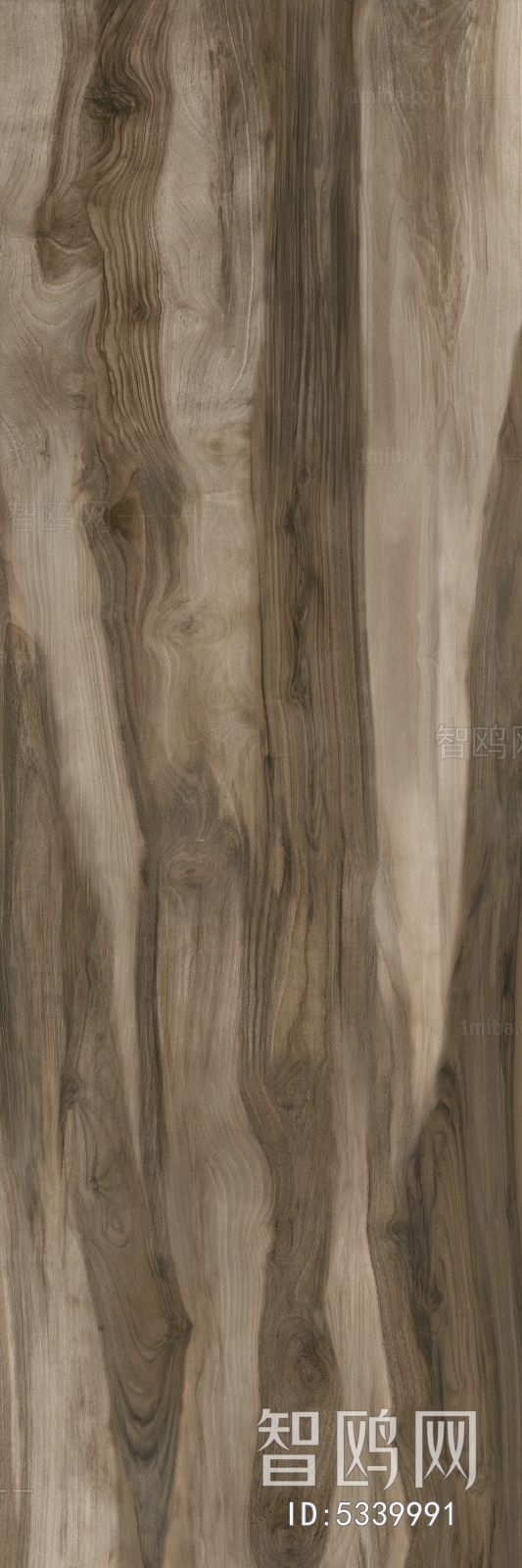 Wood Texture