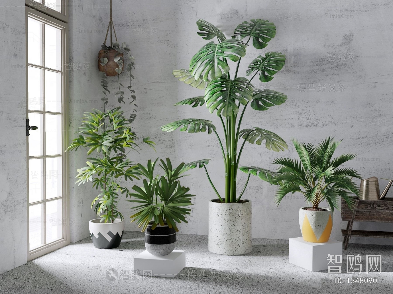 Modern Potted Green Plant