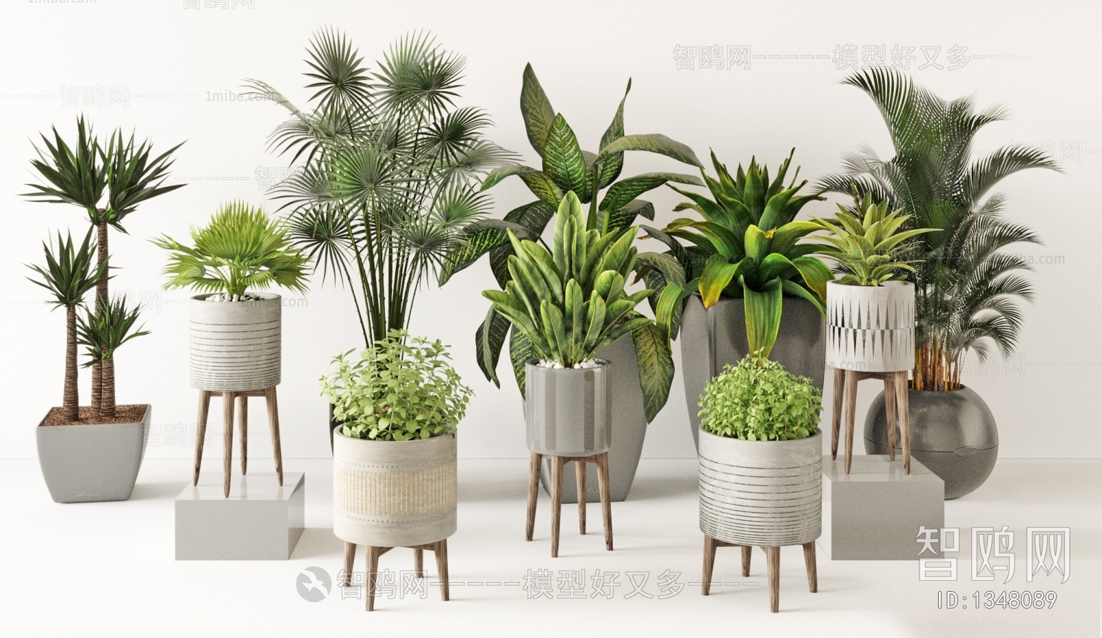 Modern Potted Green Plant