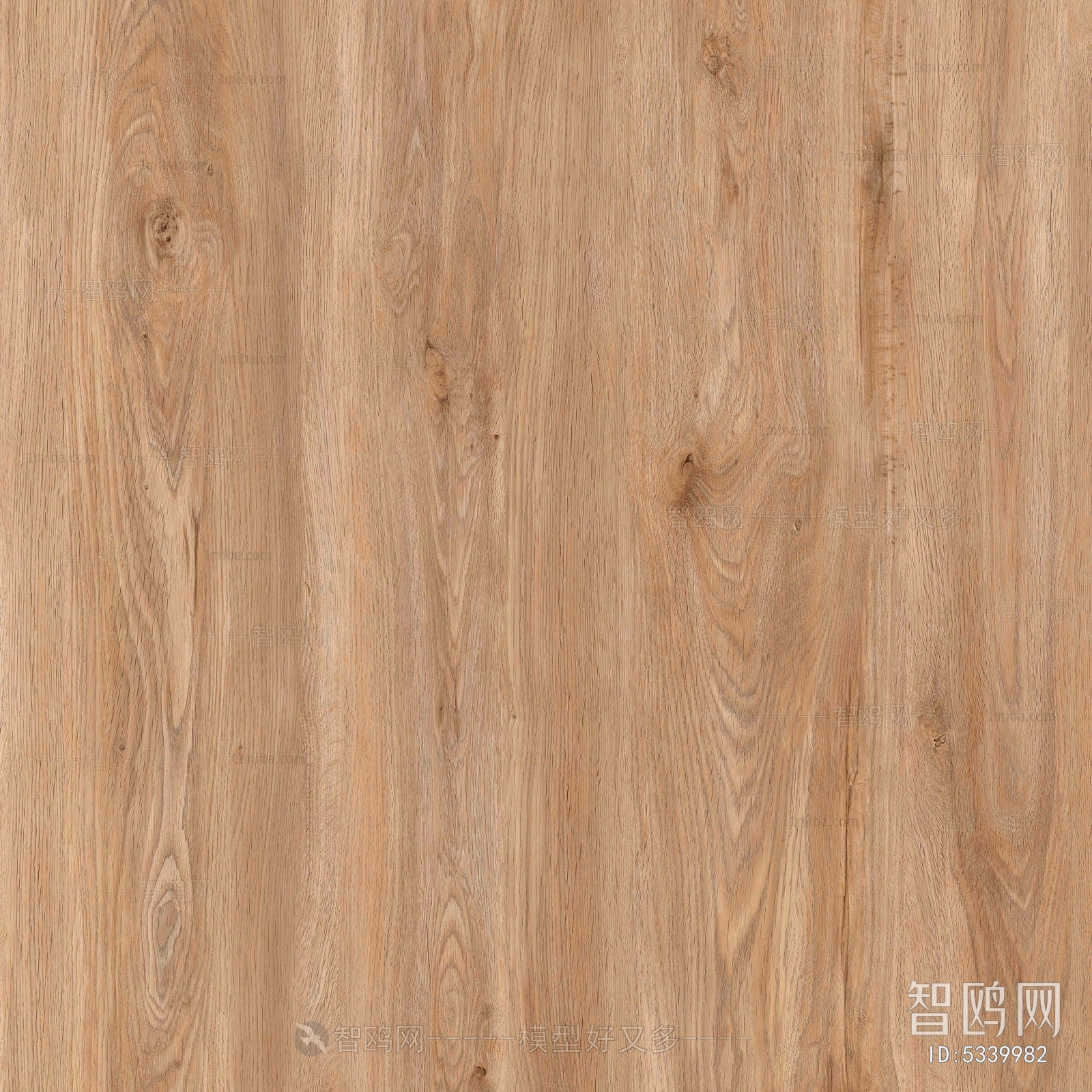 Wood Texture