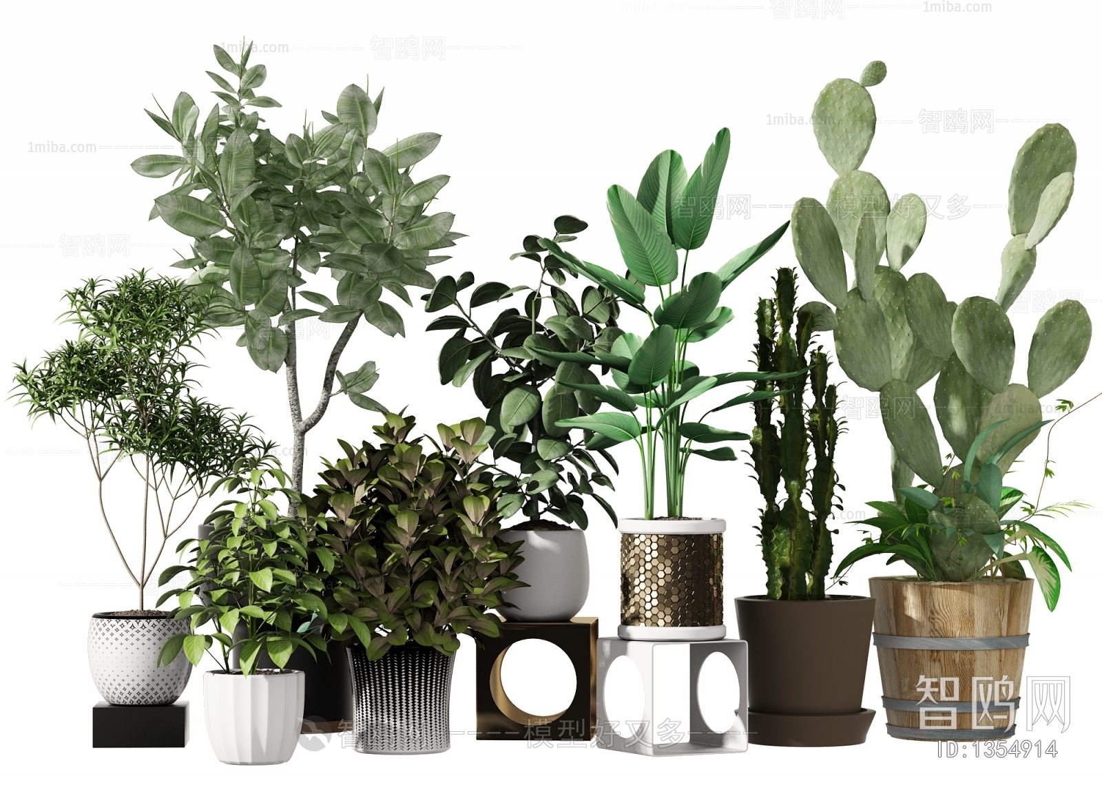 Modern Potted Green Plant