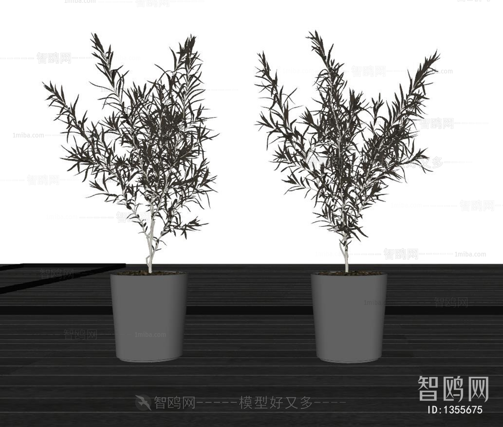 现代植物盆栽