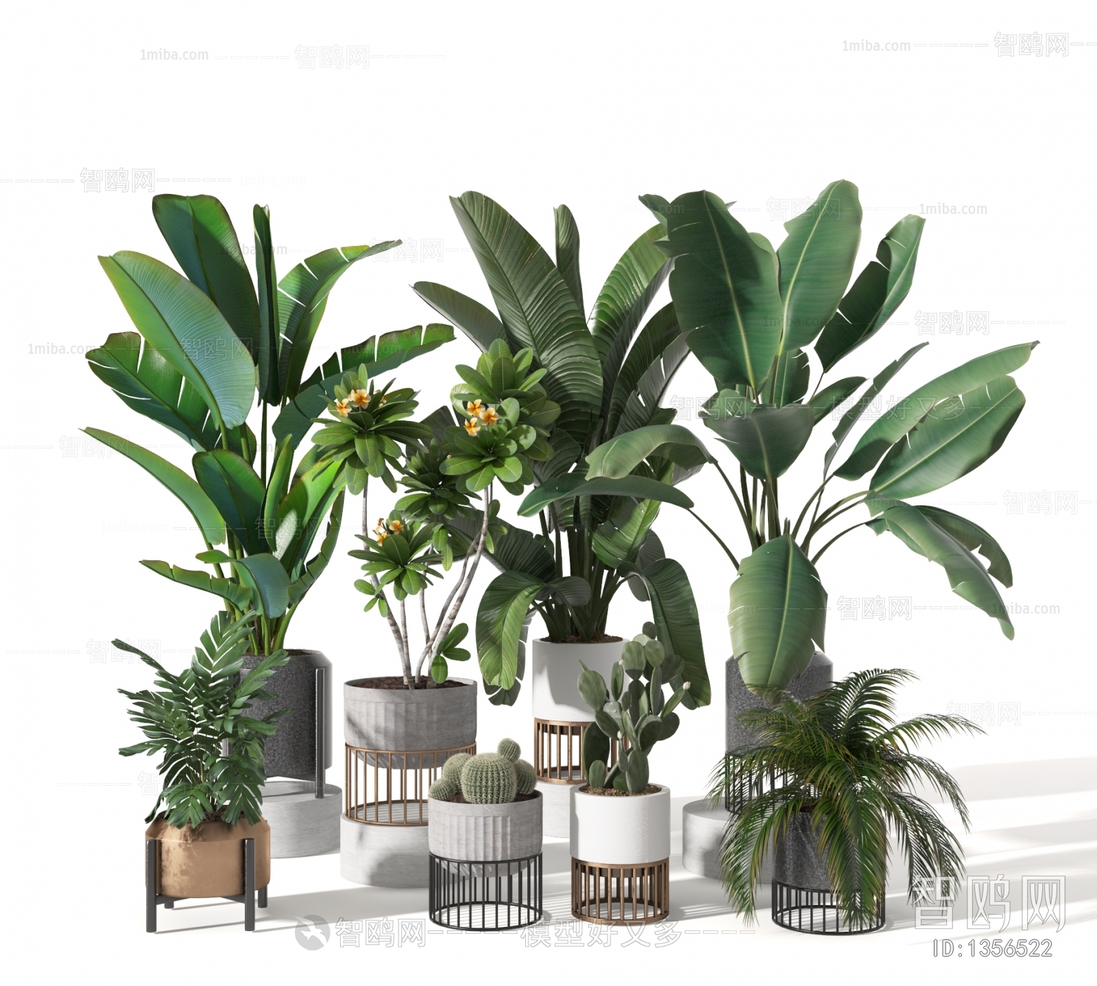 Modern Potted Green Plant