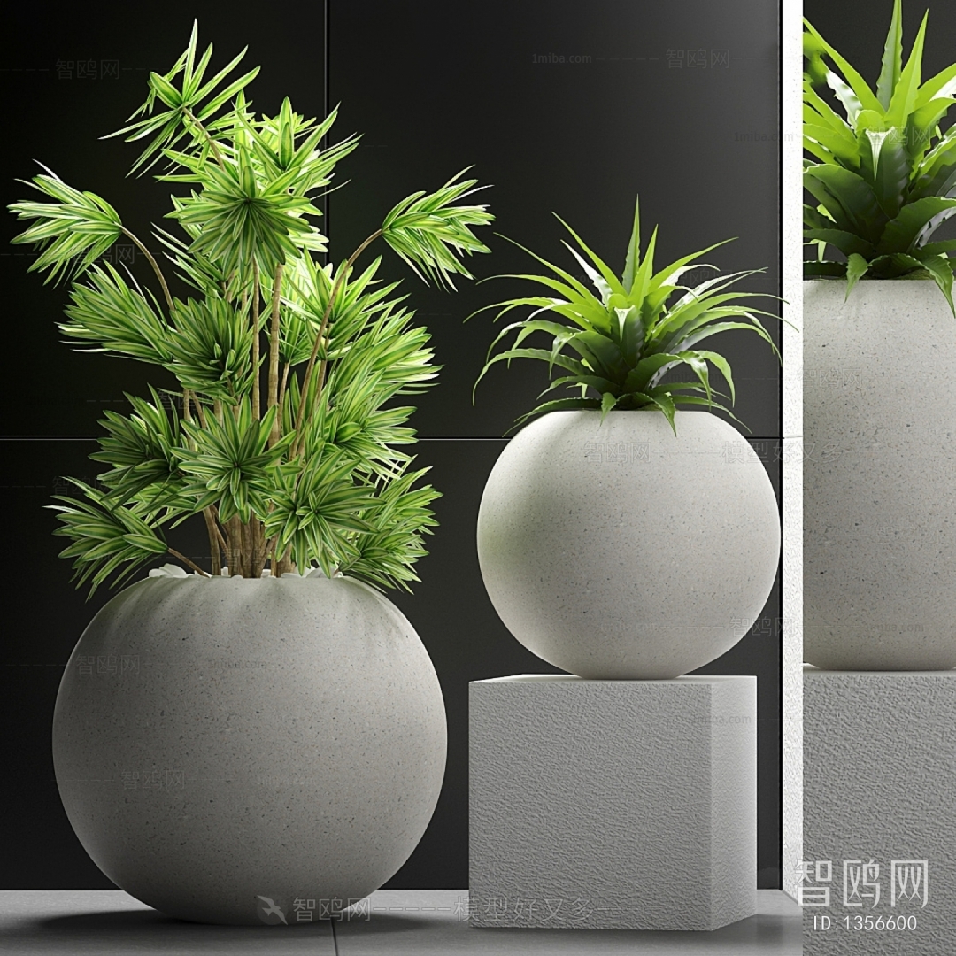 Modern Potted Green Plant