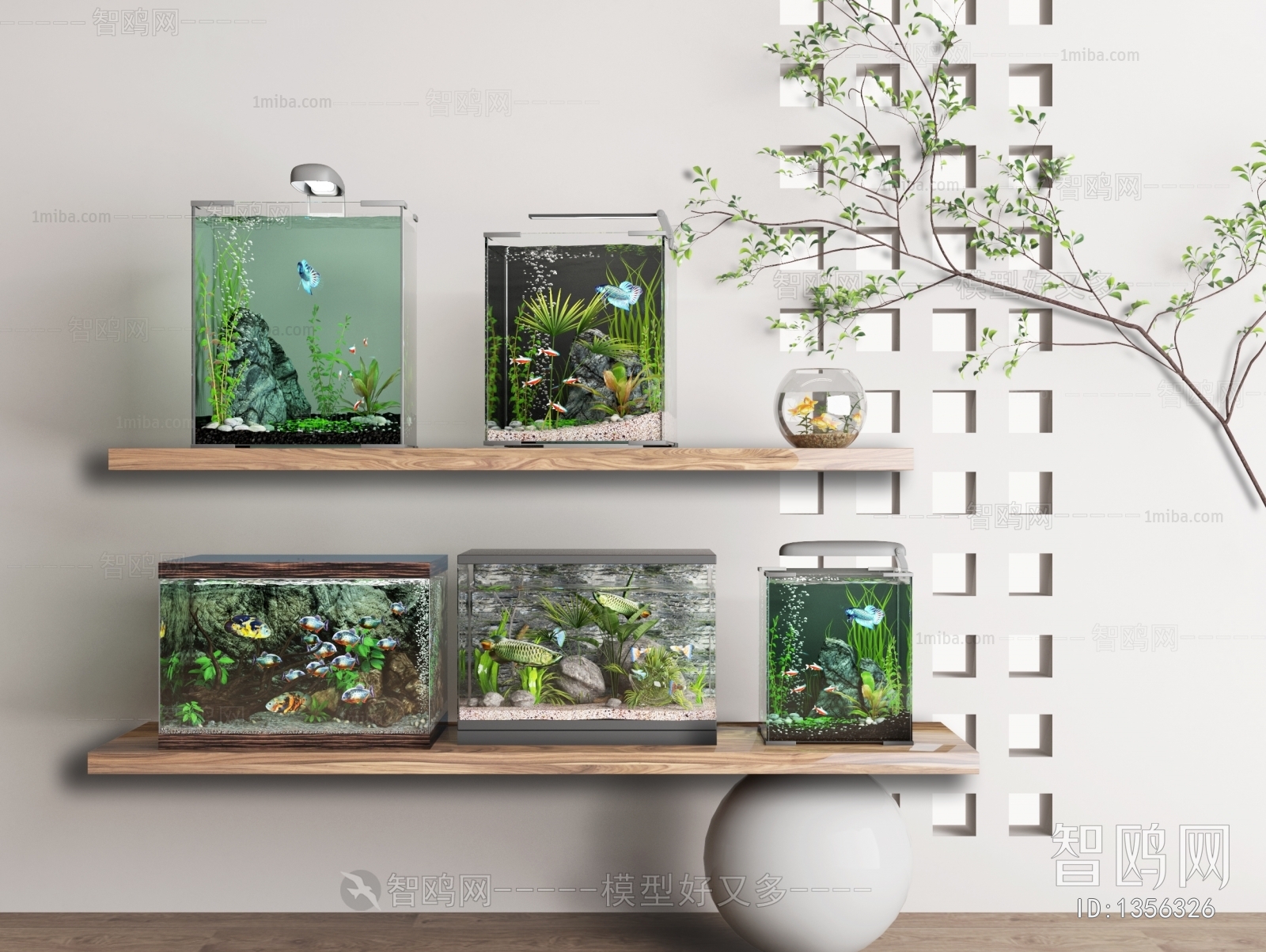 Modern Fish Tank