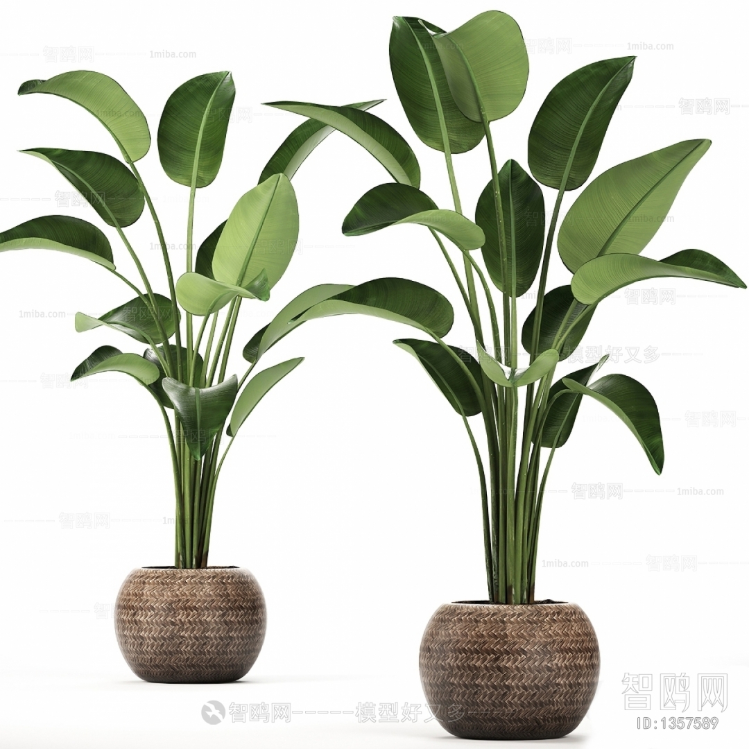 Modern Potted Green Plant