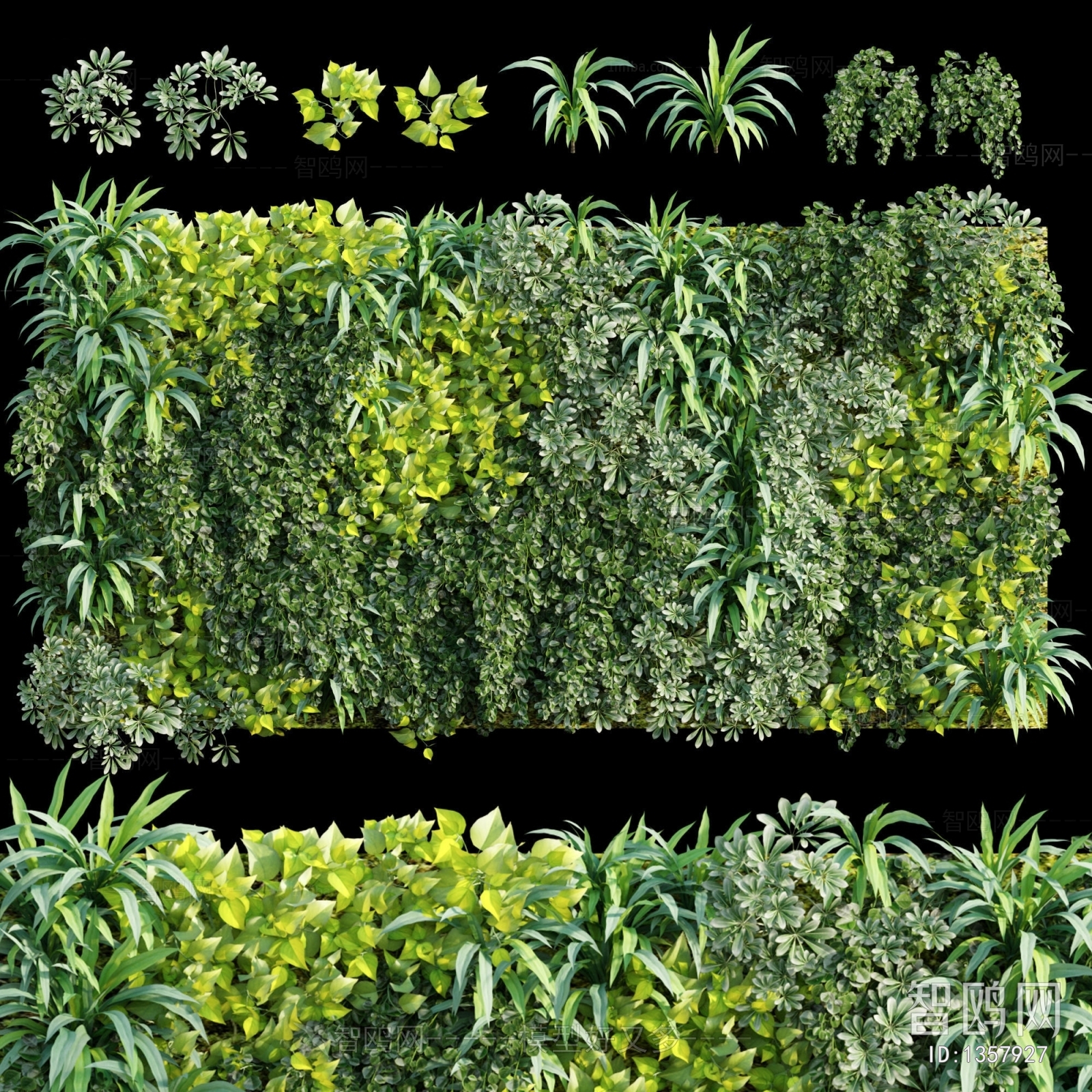 Modern Plant Wall