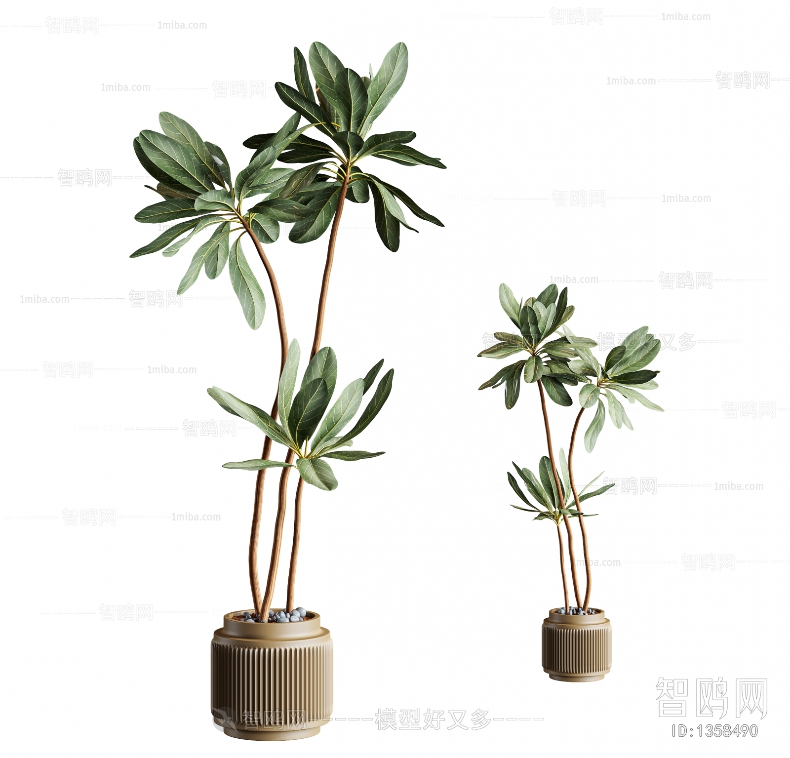 Modern Potted Green Plant