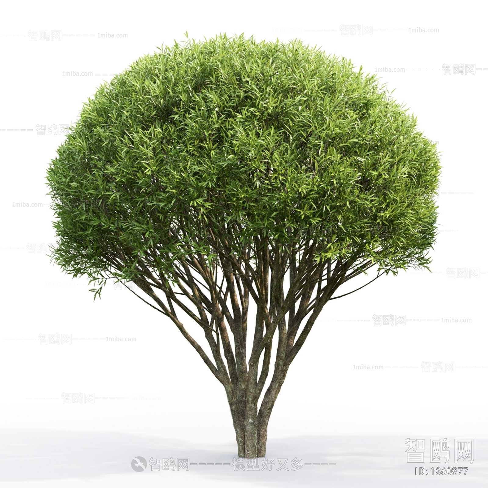 Modern Shrubbery