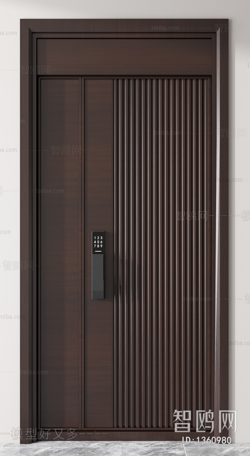 Modern Door