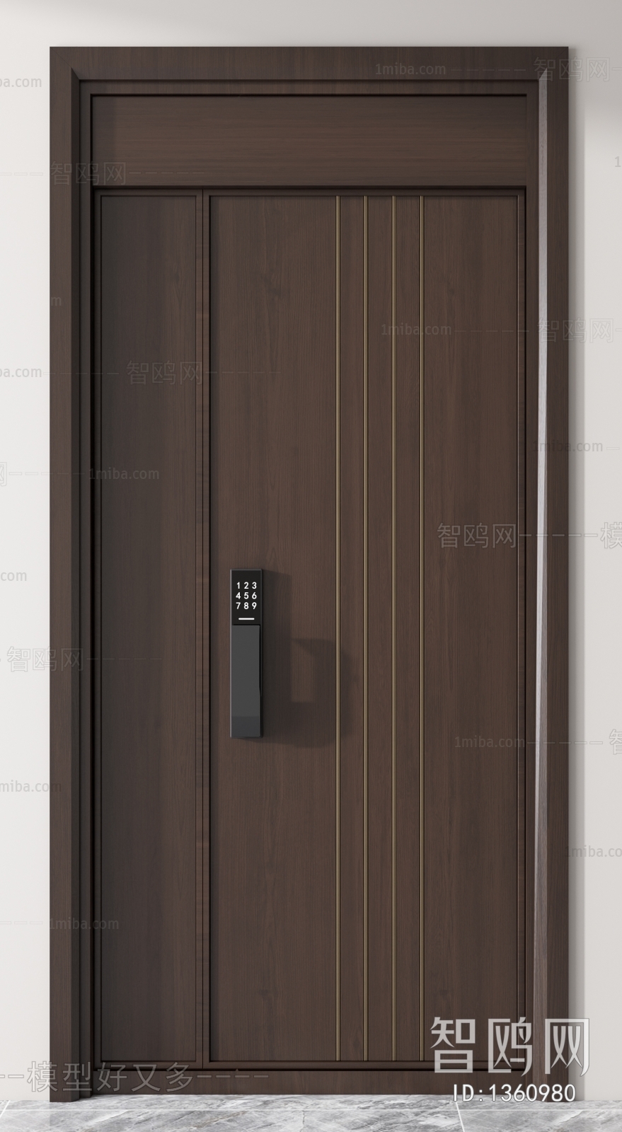 Modern Door