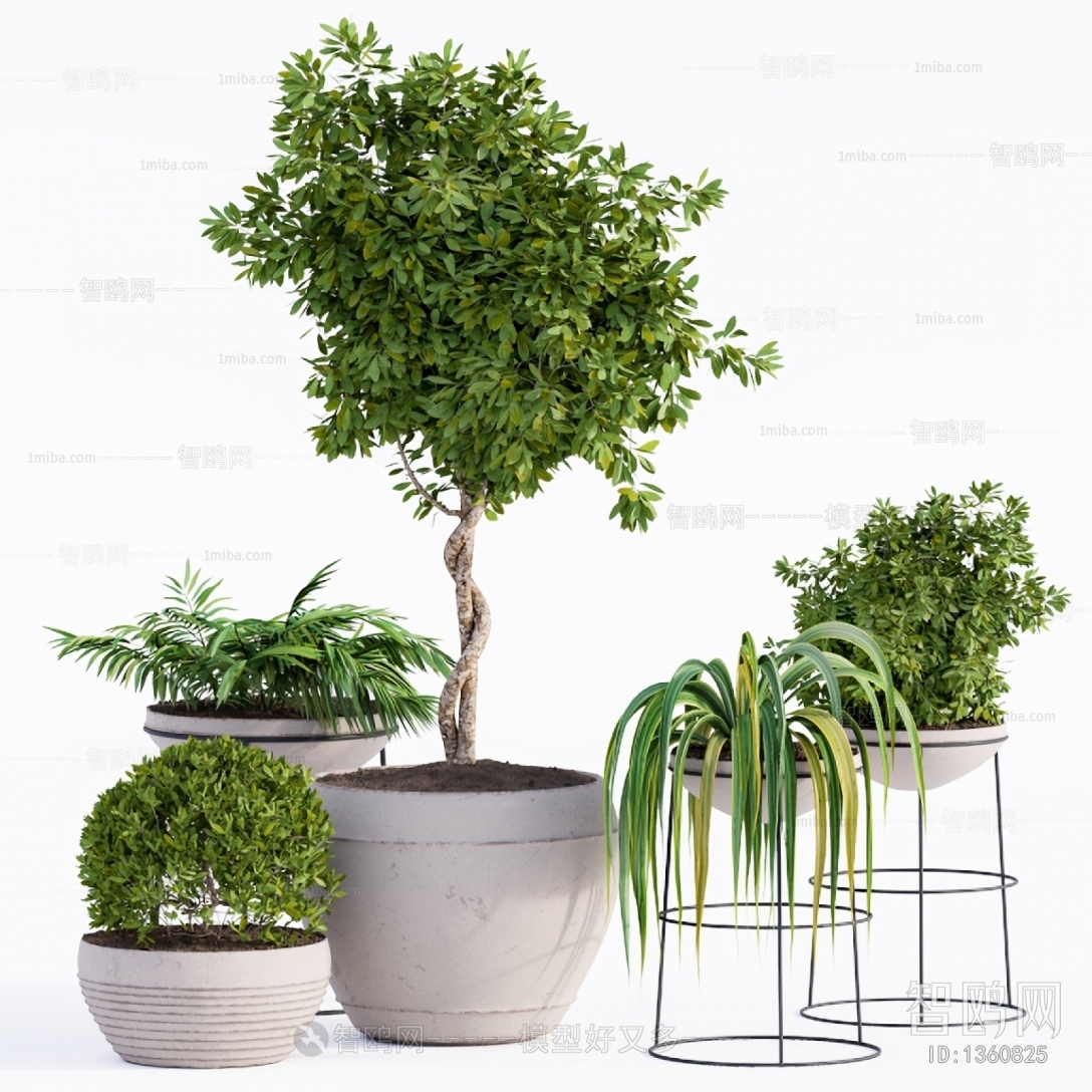 Modern Potted Green Plant