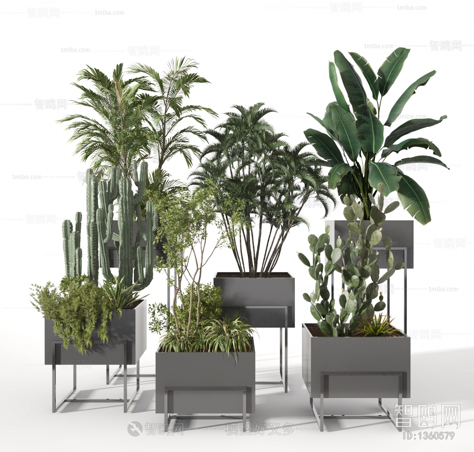 Modern Potted Green Plant