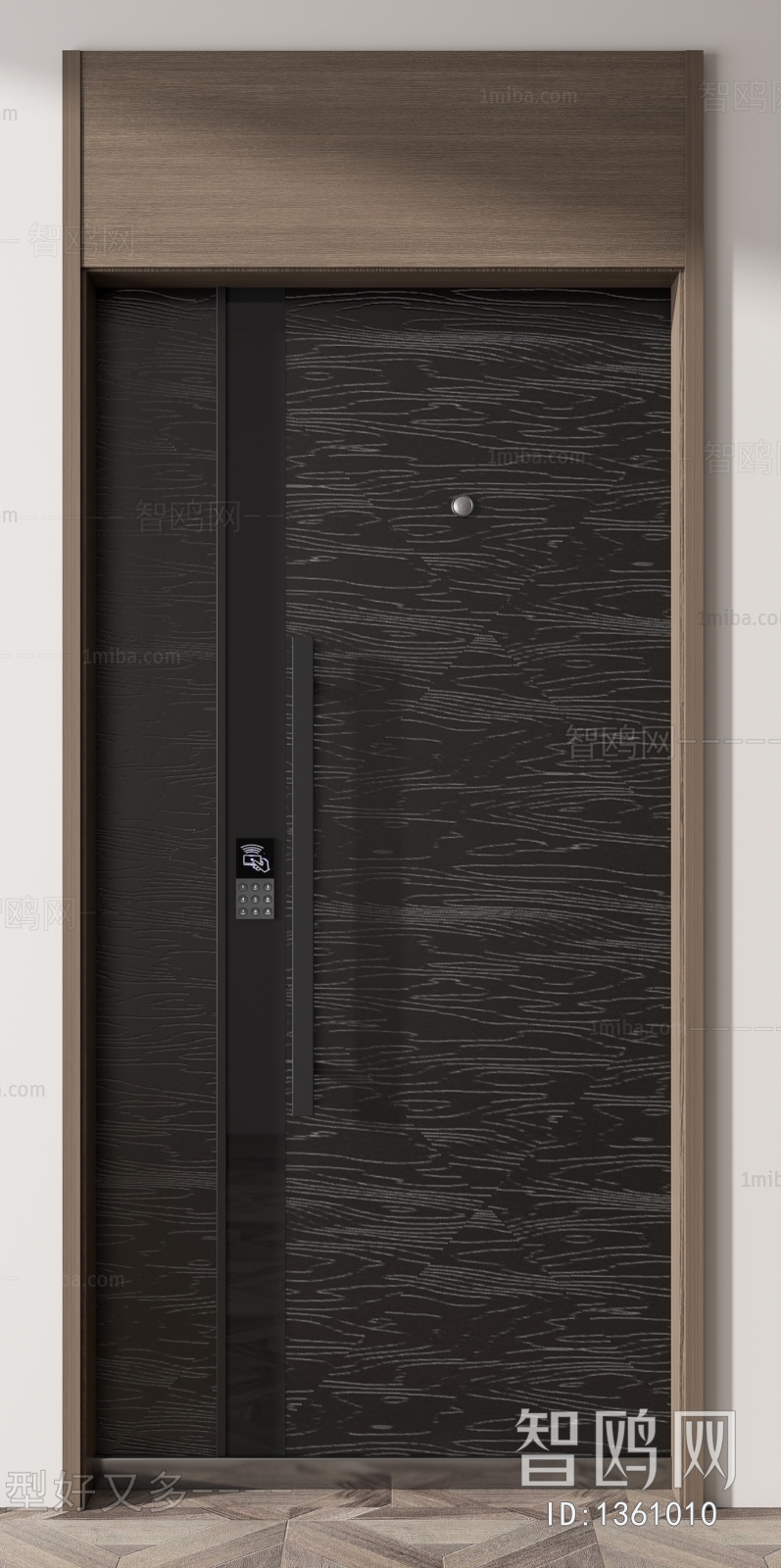 Modern Entrance Door