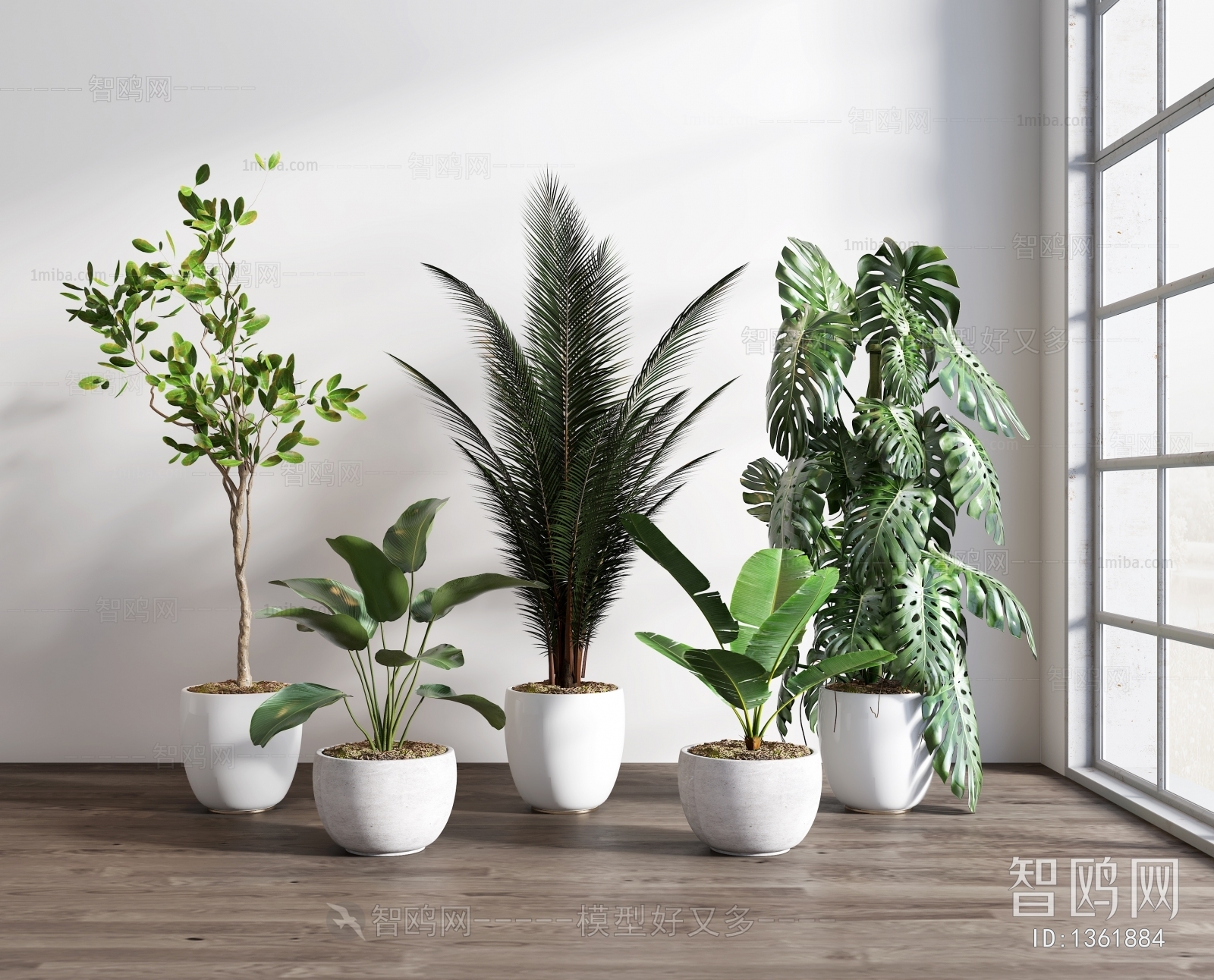 Modern Potted Green Plant