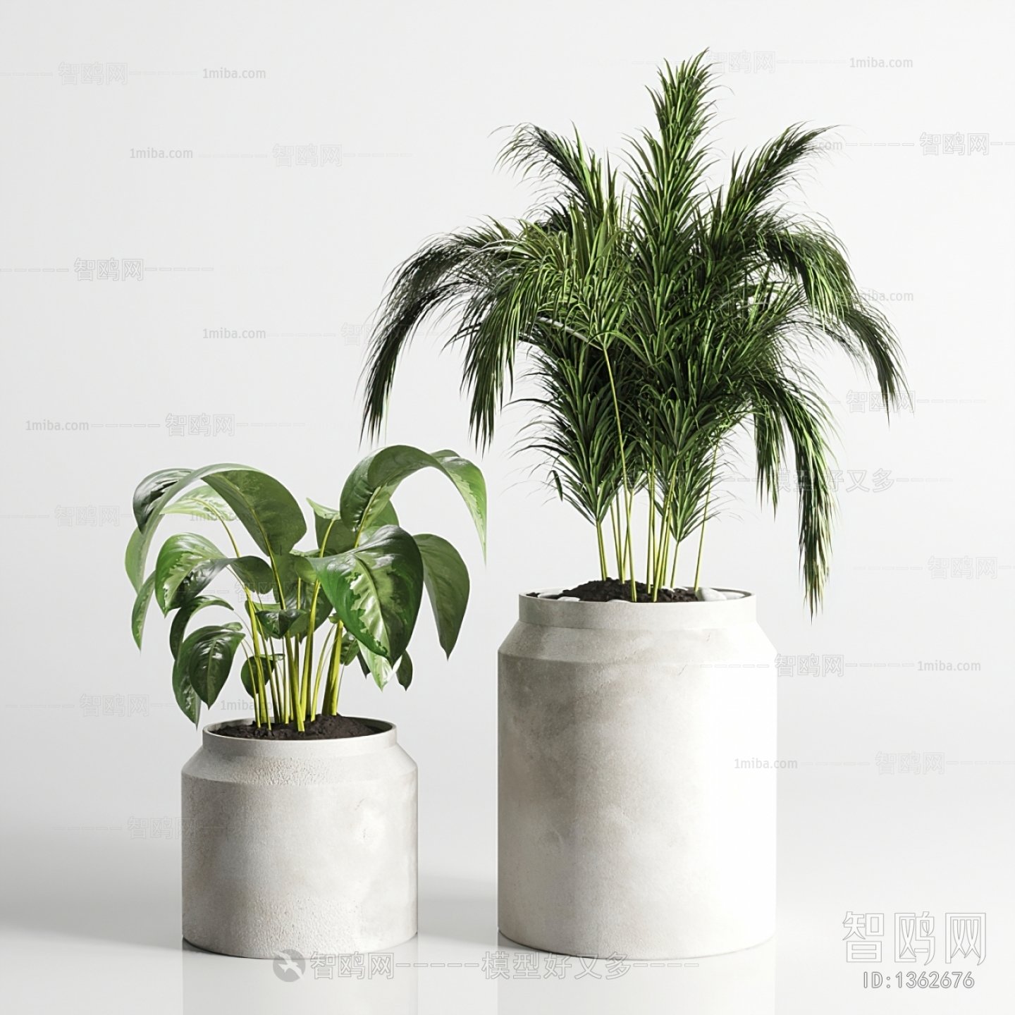 Modern Potted Green Plant