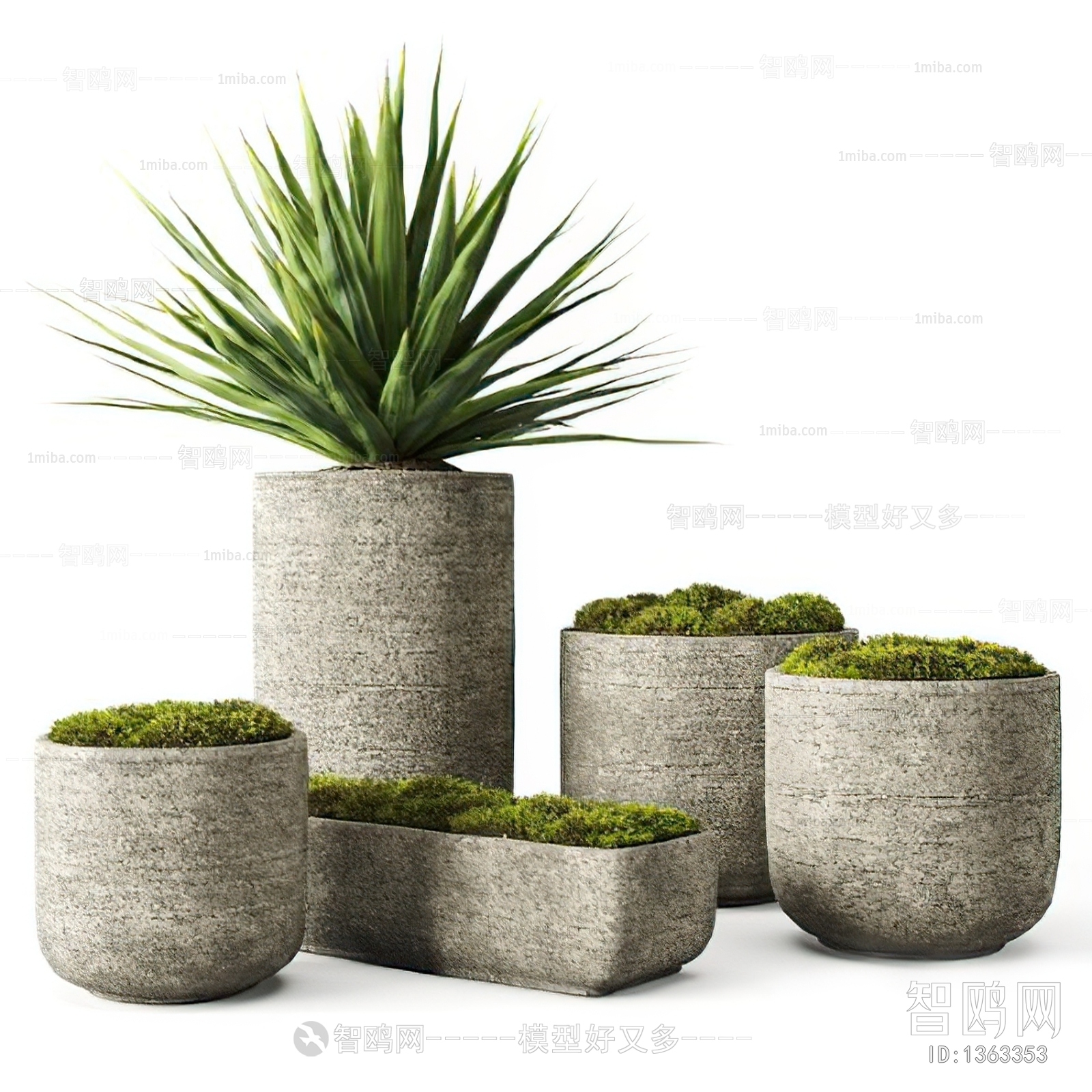 Modern Potted Green Plant