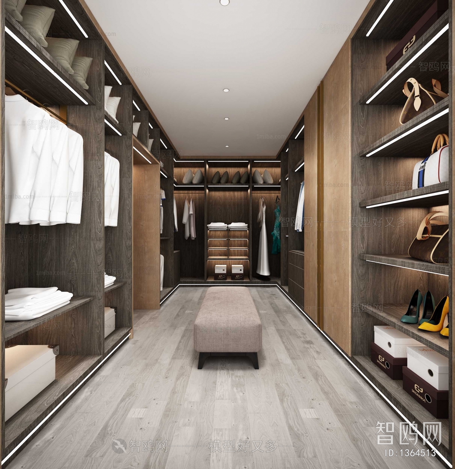 Modern Clothes Storage Area