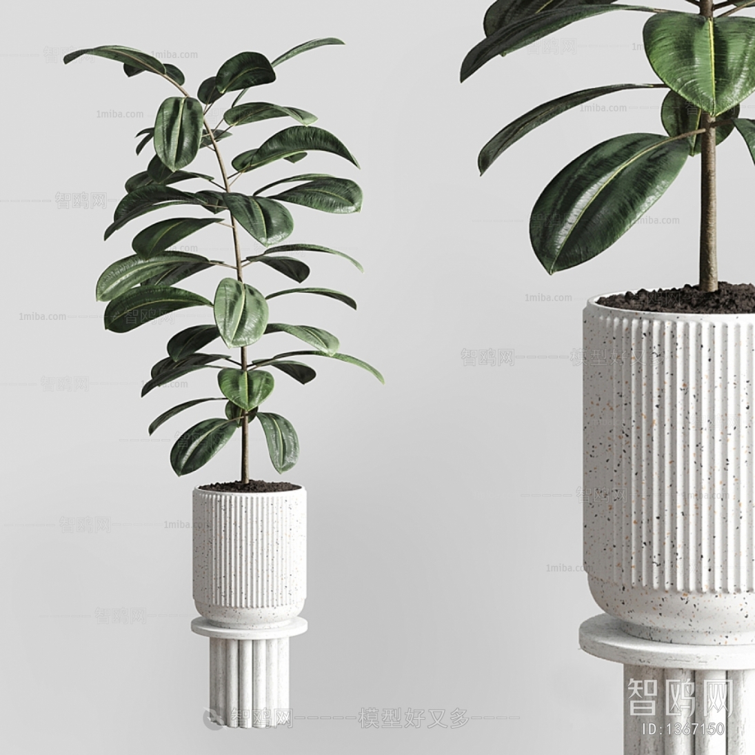 Modern Potted Green Plant