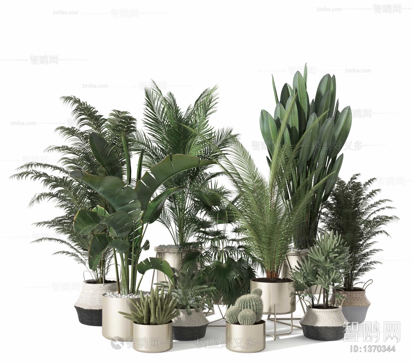 Modern Potted Green Plant