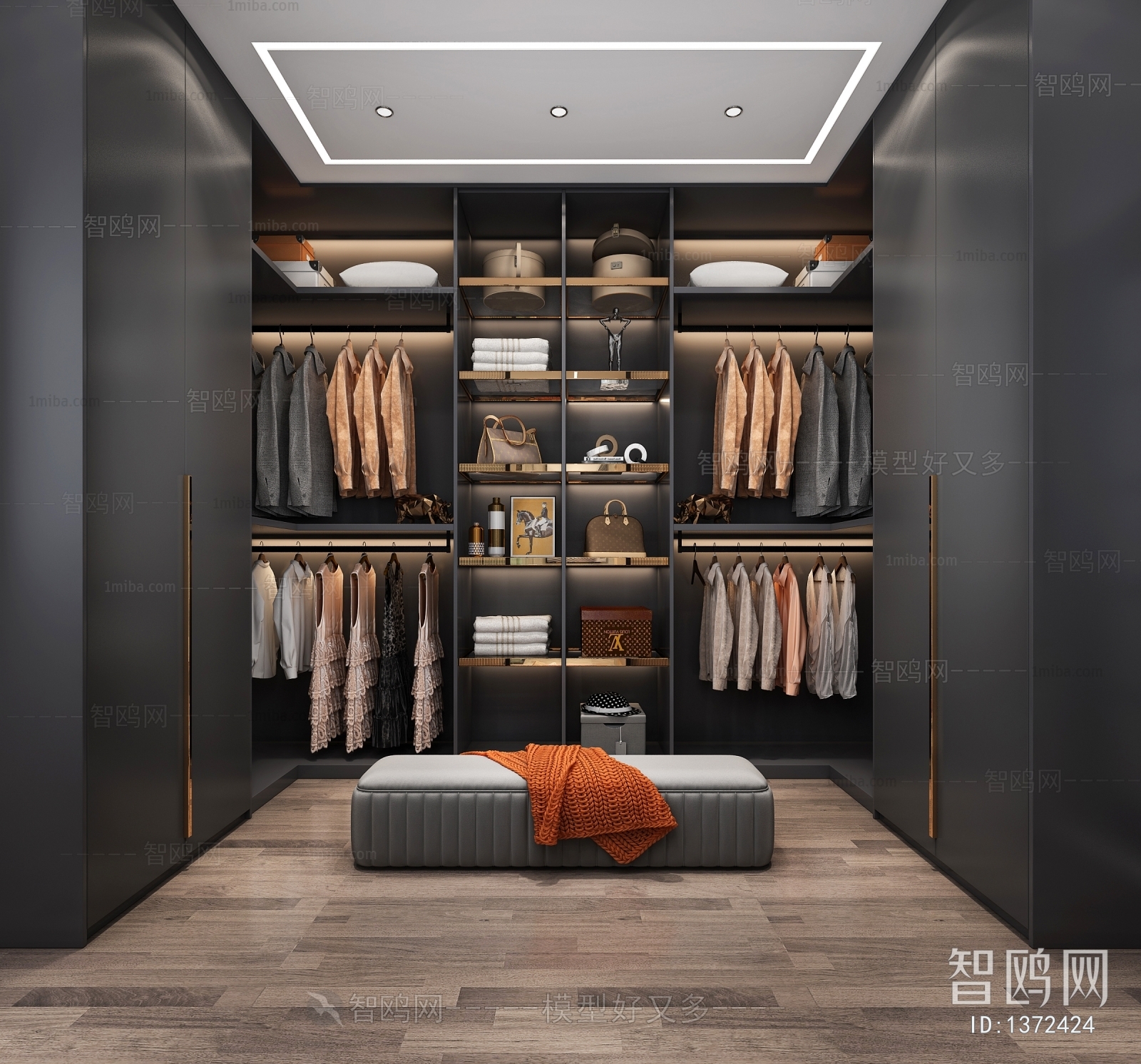 Modern Clothes Storage Area