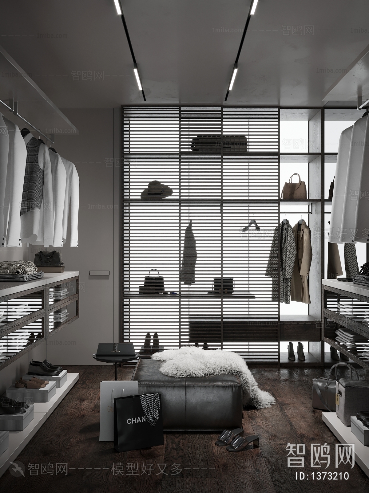 Modern Clothes Storage Area