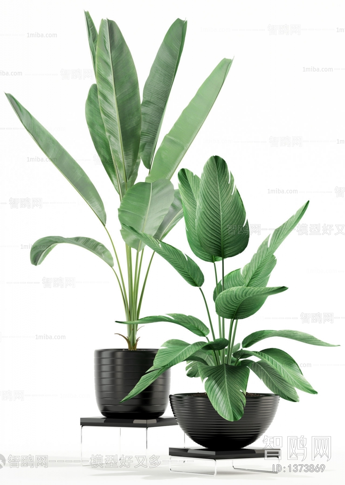 Modern Potted Green Plant