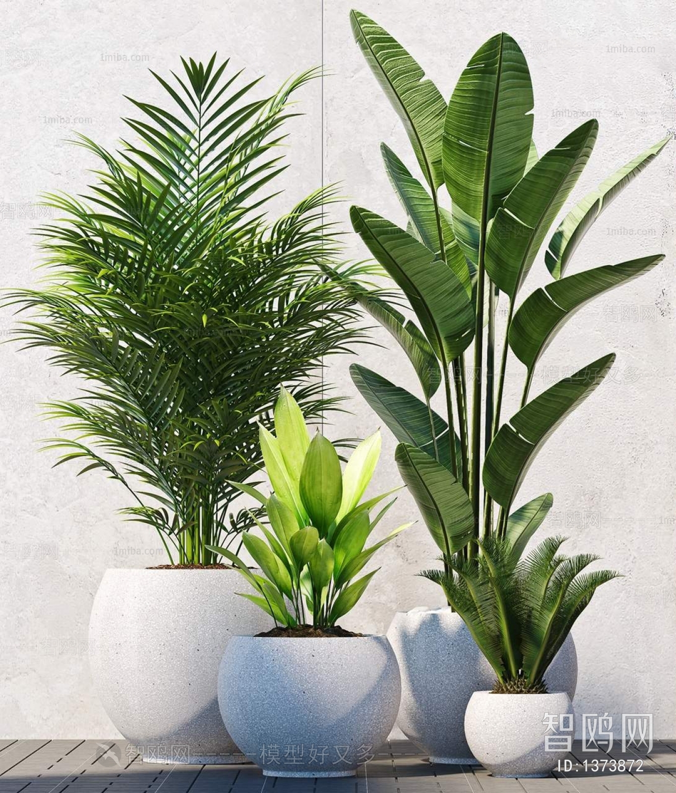 Modern Potted Green Plant