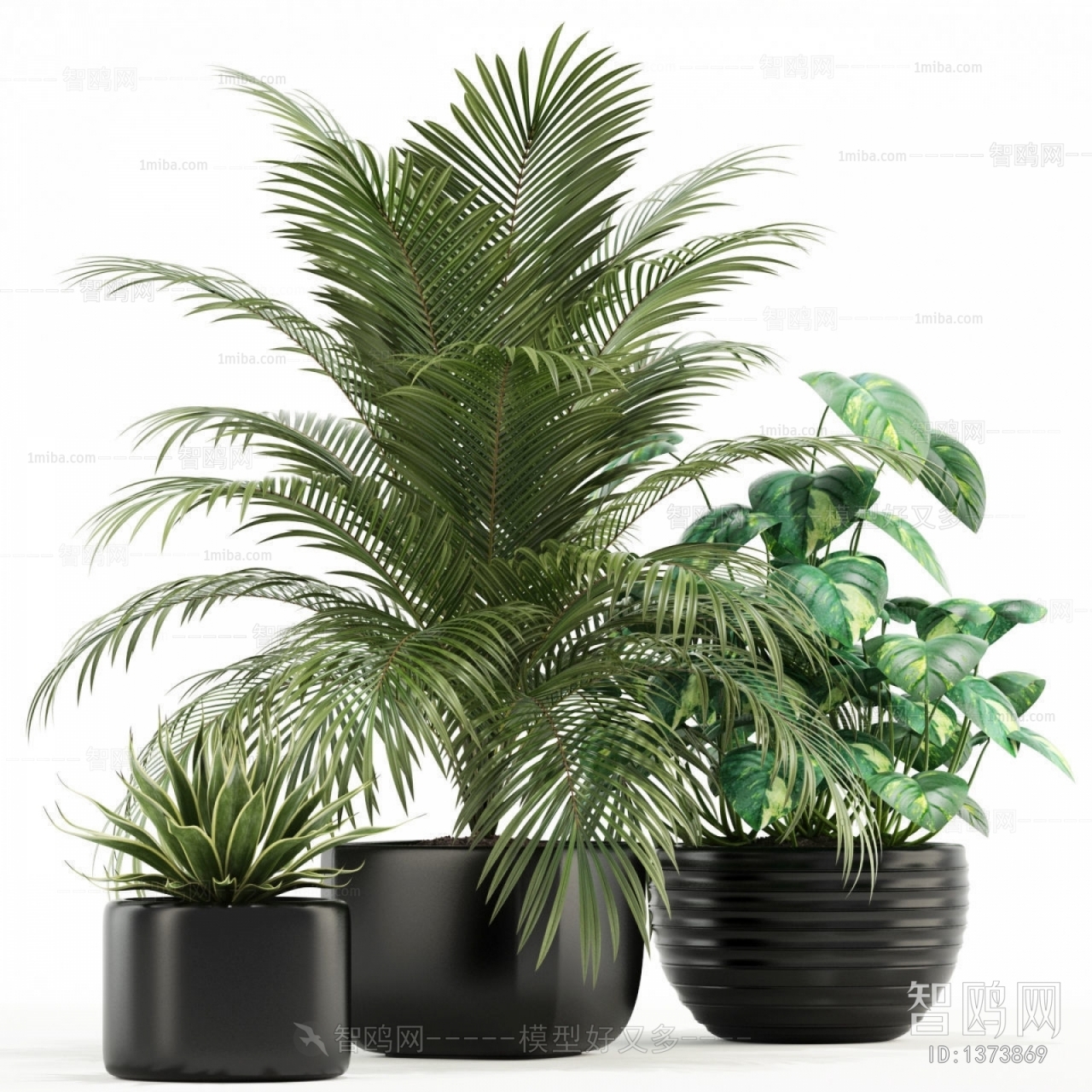 Modern Potted Green Plant