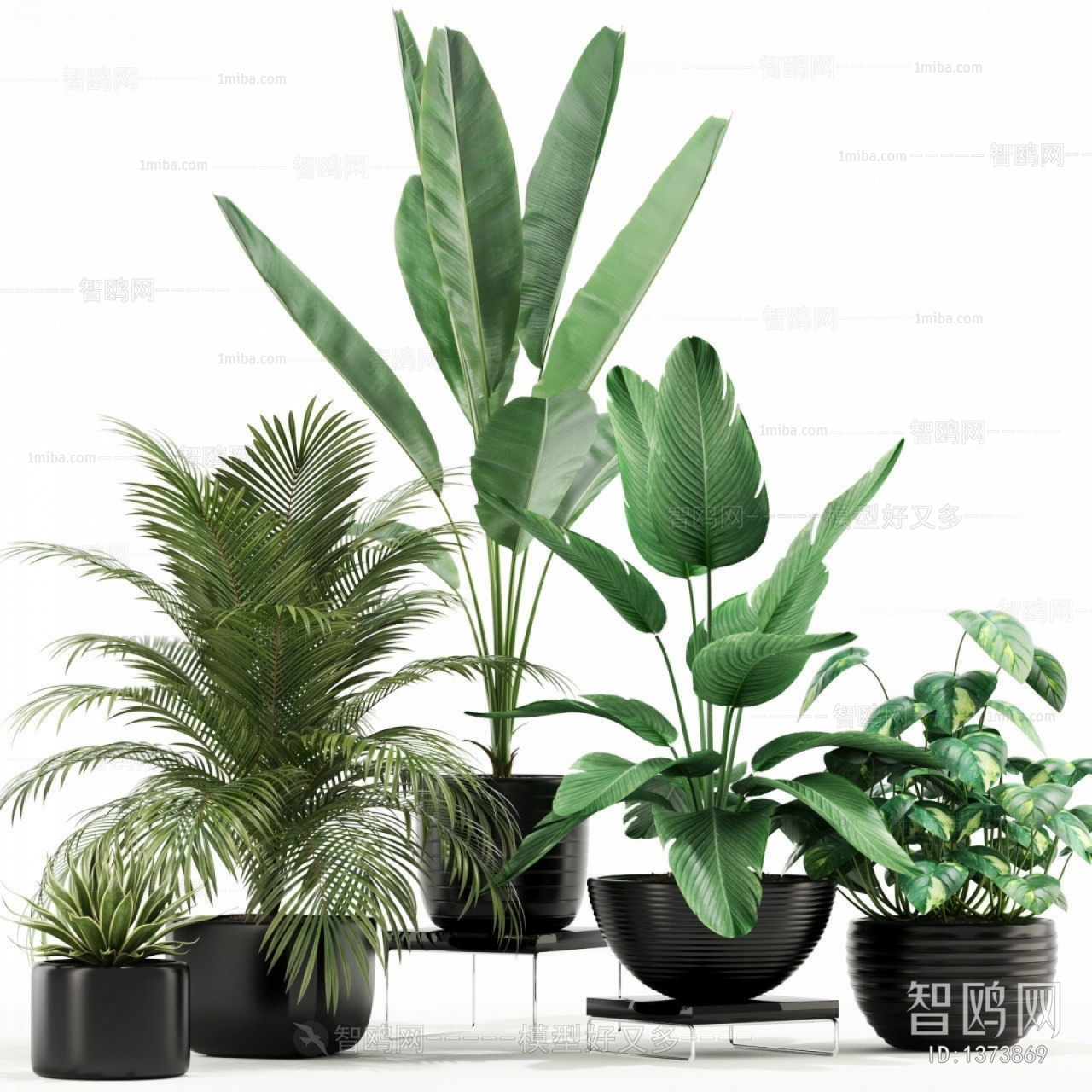 Modern Potted Green Plant