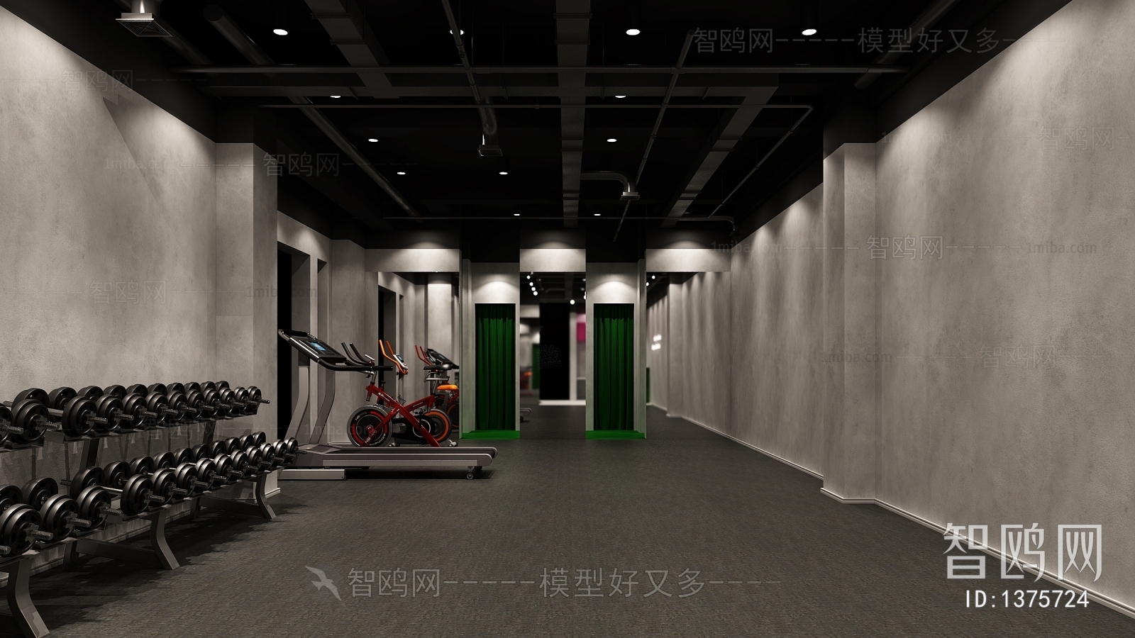 Industrial Style Gym