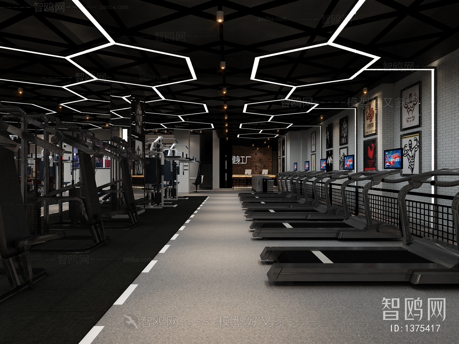 Modern Gym