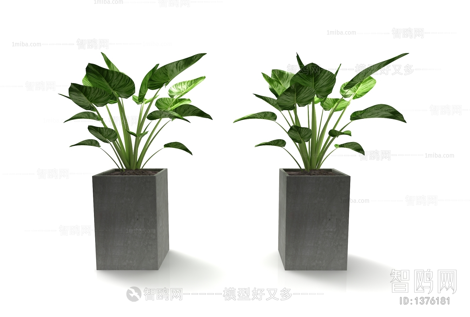 Modern Potted Green Plant