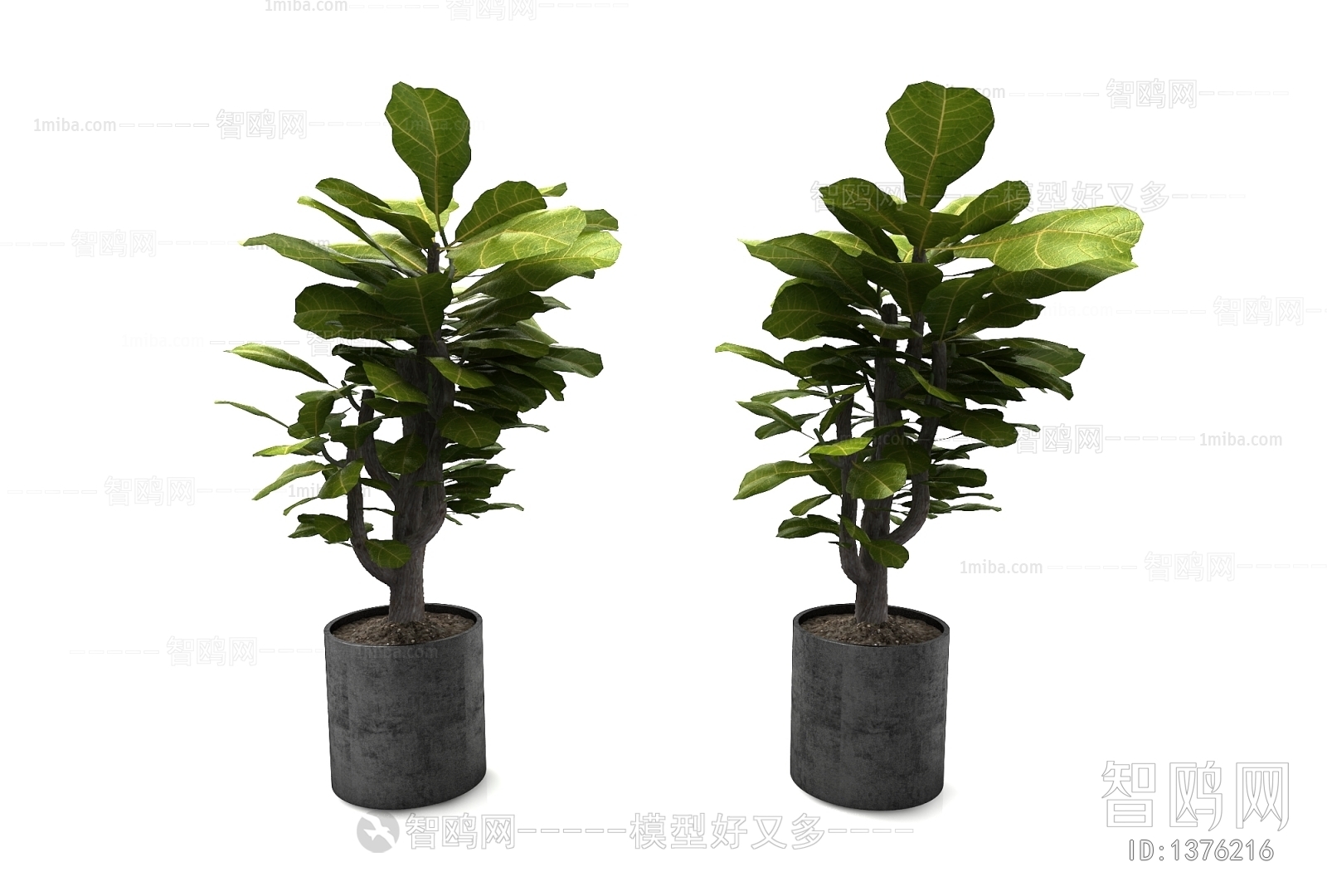 Modern Potted Green Plant