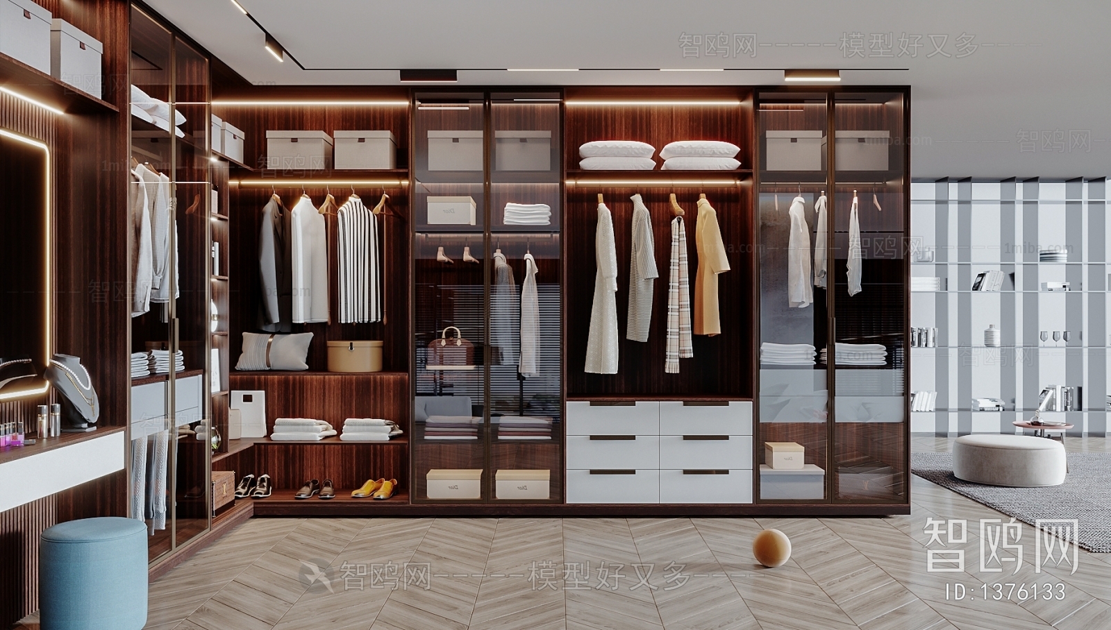 Modern Clothes Storage Area