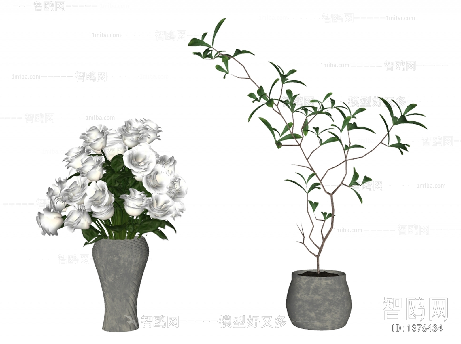 现代植物盆栽组合