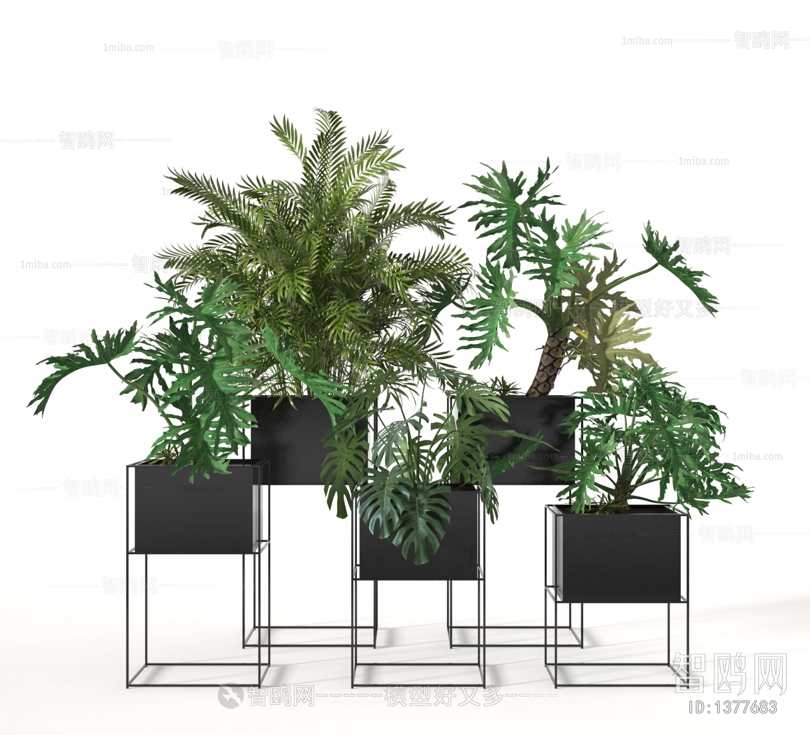 Modern Potted Green Plant