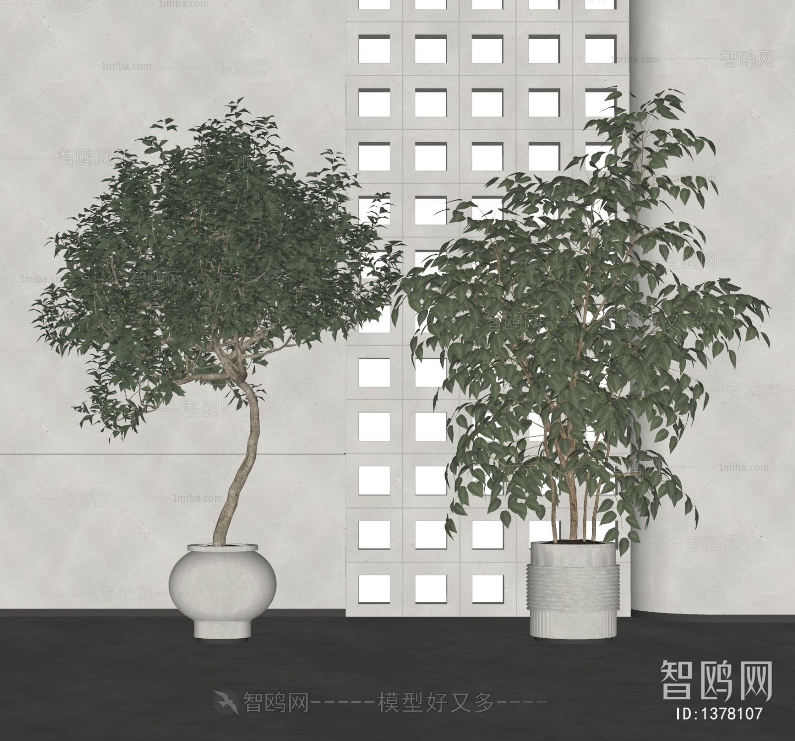 现代植物盆栽组合