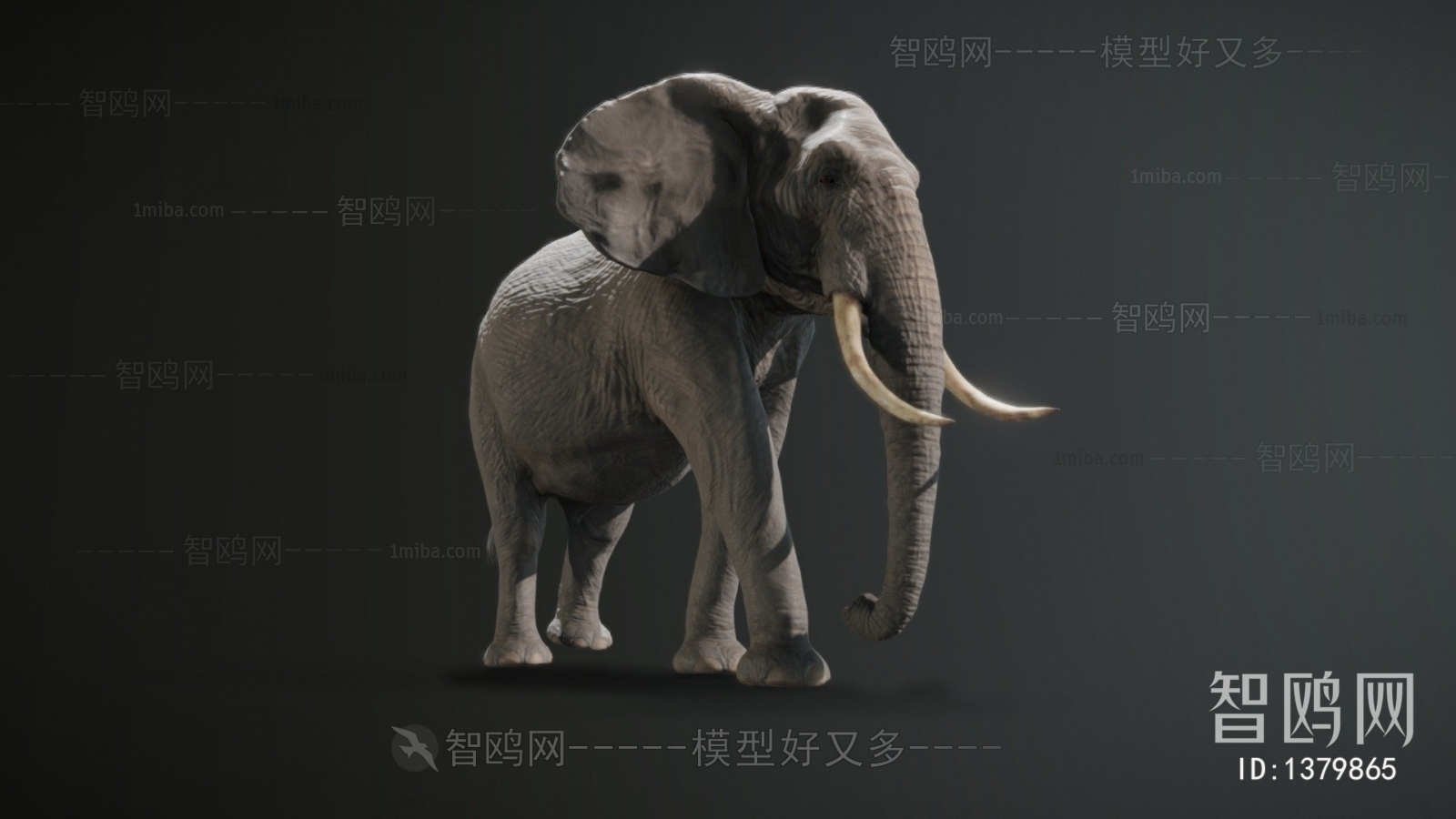 现代动物大象